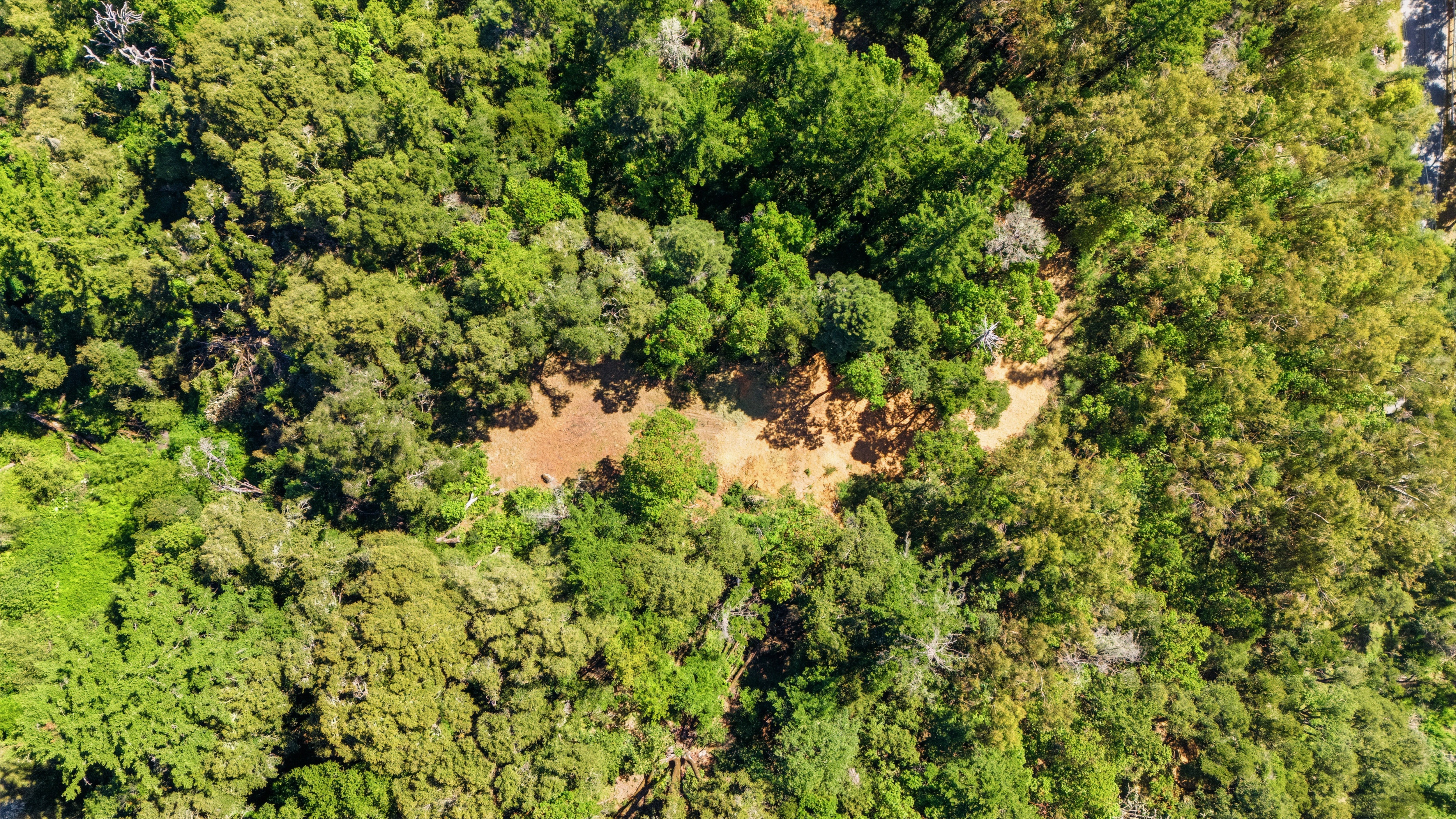  Exceptional Five-Acre Estate Opportunity with Bay Area Views - 物件實景