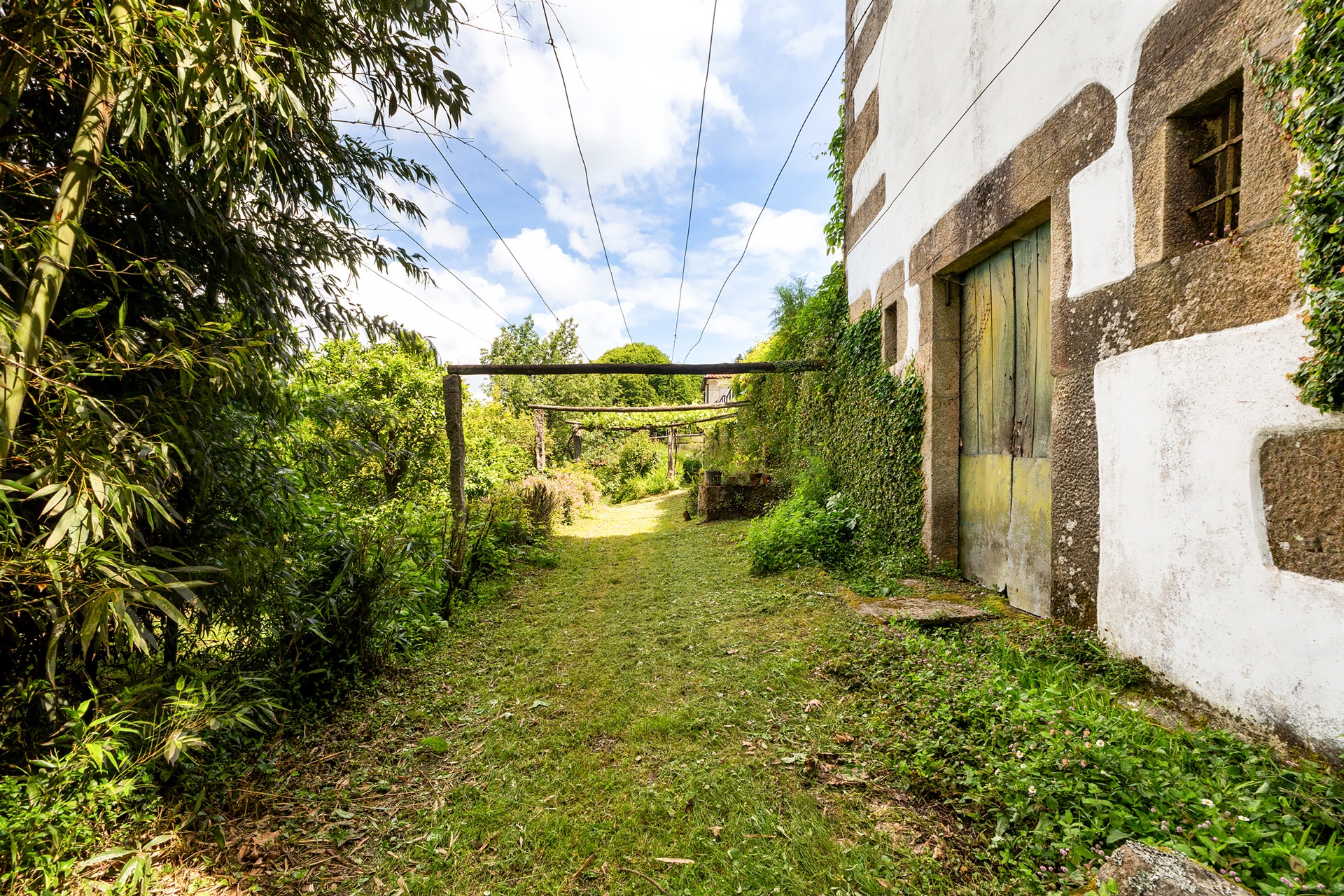  Farm, 10 bedrooms, for Sale - 物件實景