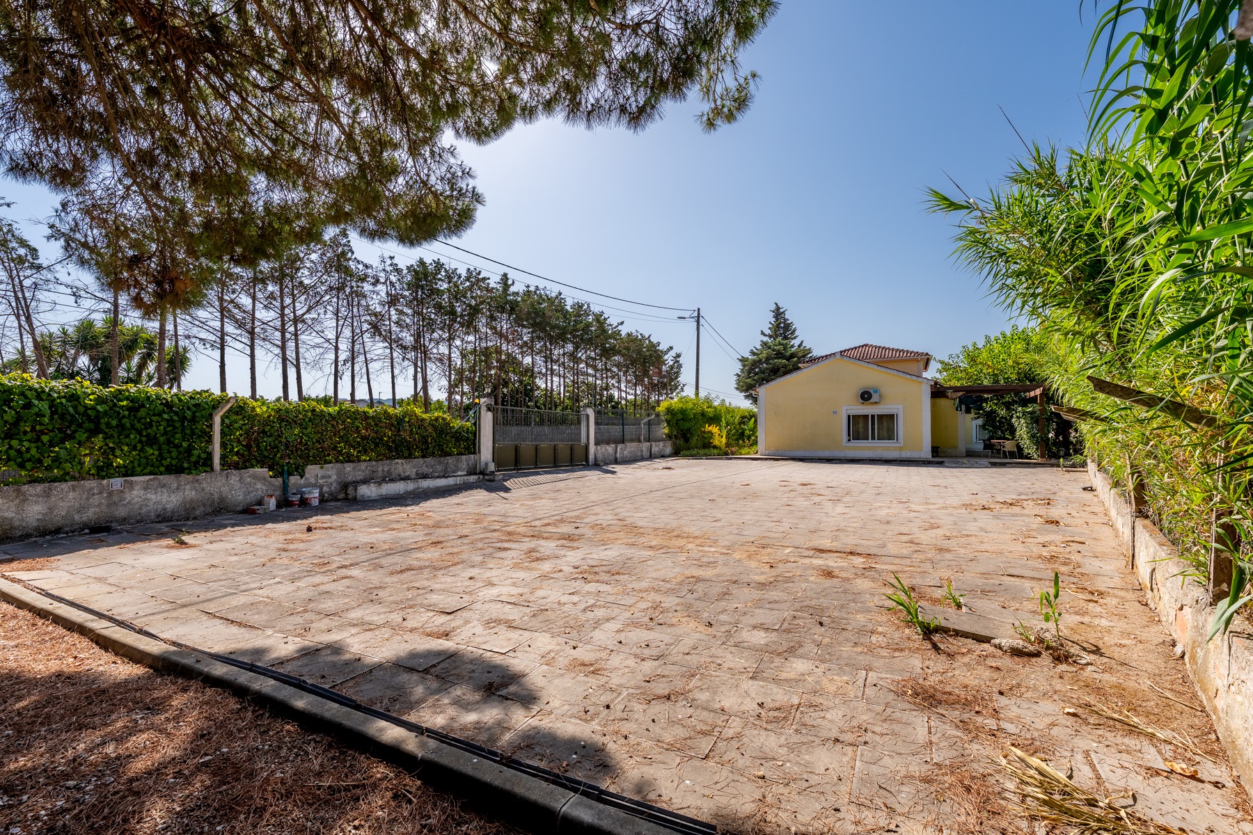  House, 12 bedrooms, for Sale - 物件實景