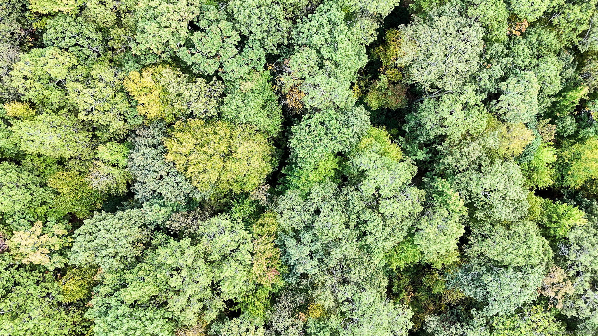 Tolland, Connecticut, 06084, United States, ,Land,For Sale,1956245