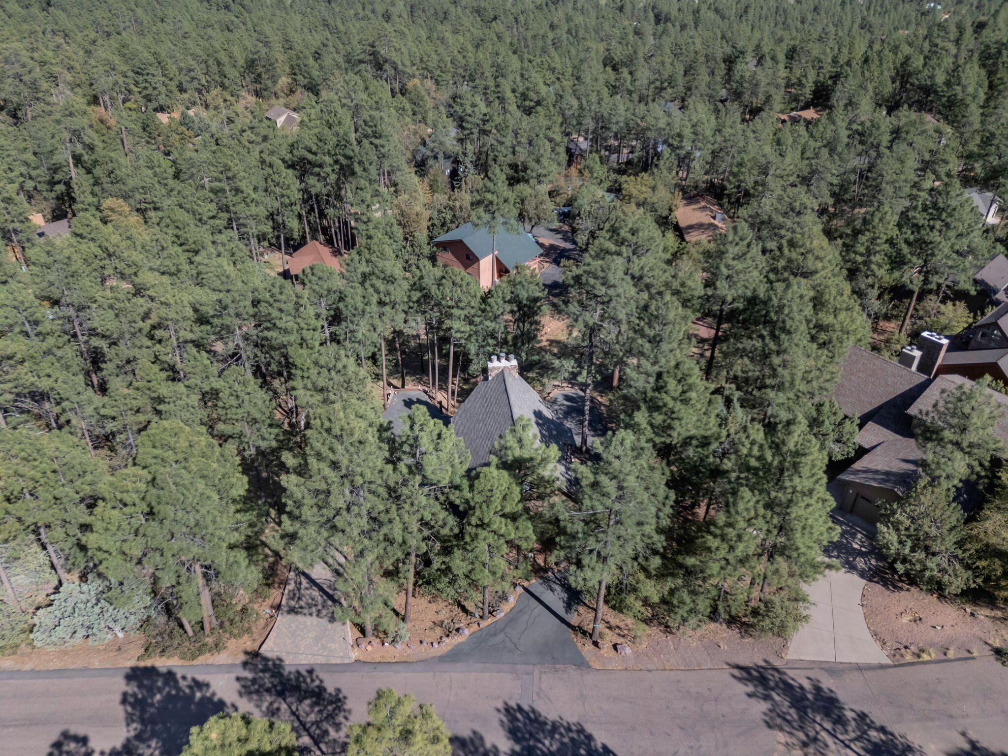 Pine, Arizona, 85544, United States, 3 Bedrooms Bedrooms, ,2 BathroomsBathrooms,Residential,For Sale,1828056