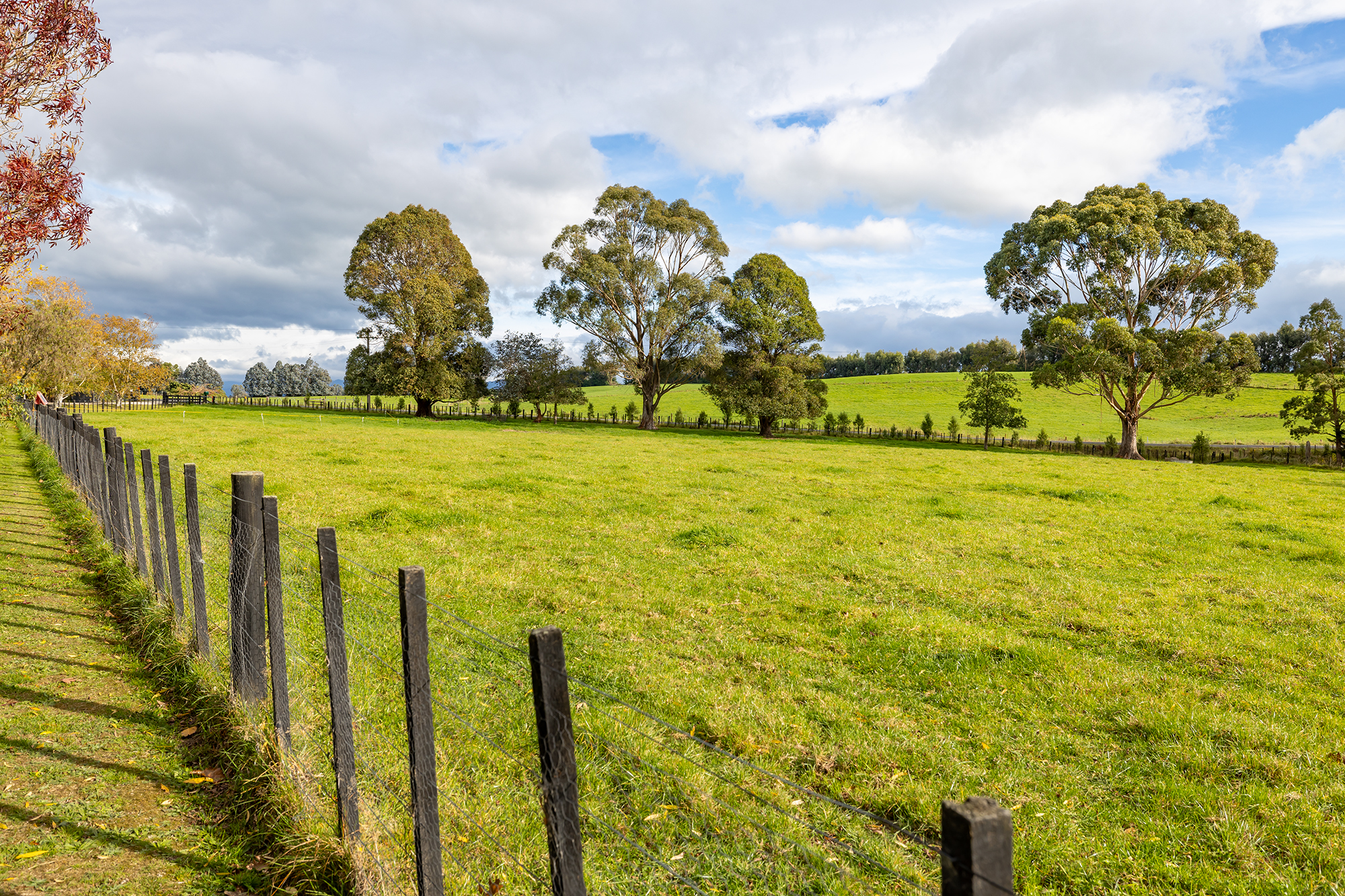  Wairarapa Lifestyle Haven - 物件實景