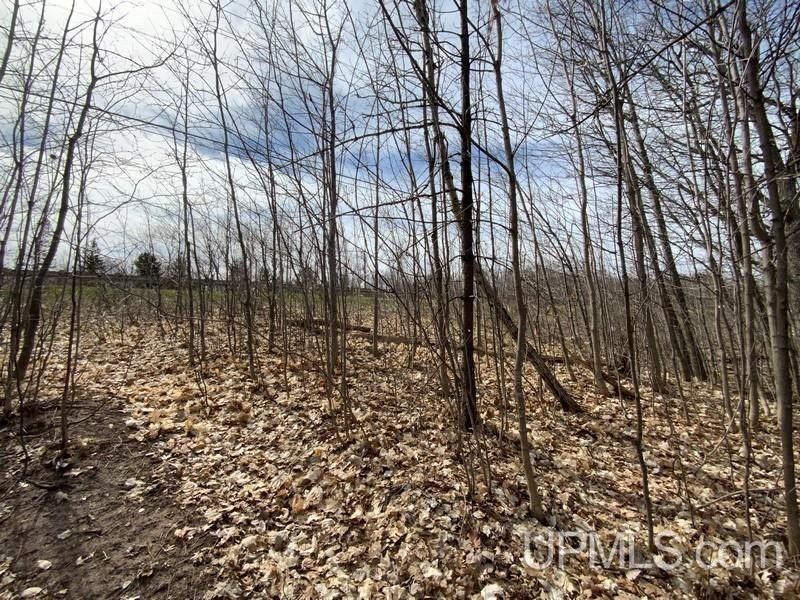 TBD W US 41, Marquette, Michigan, 49855, United States, ,Residential,For Sale,TBD W US 41,1601608