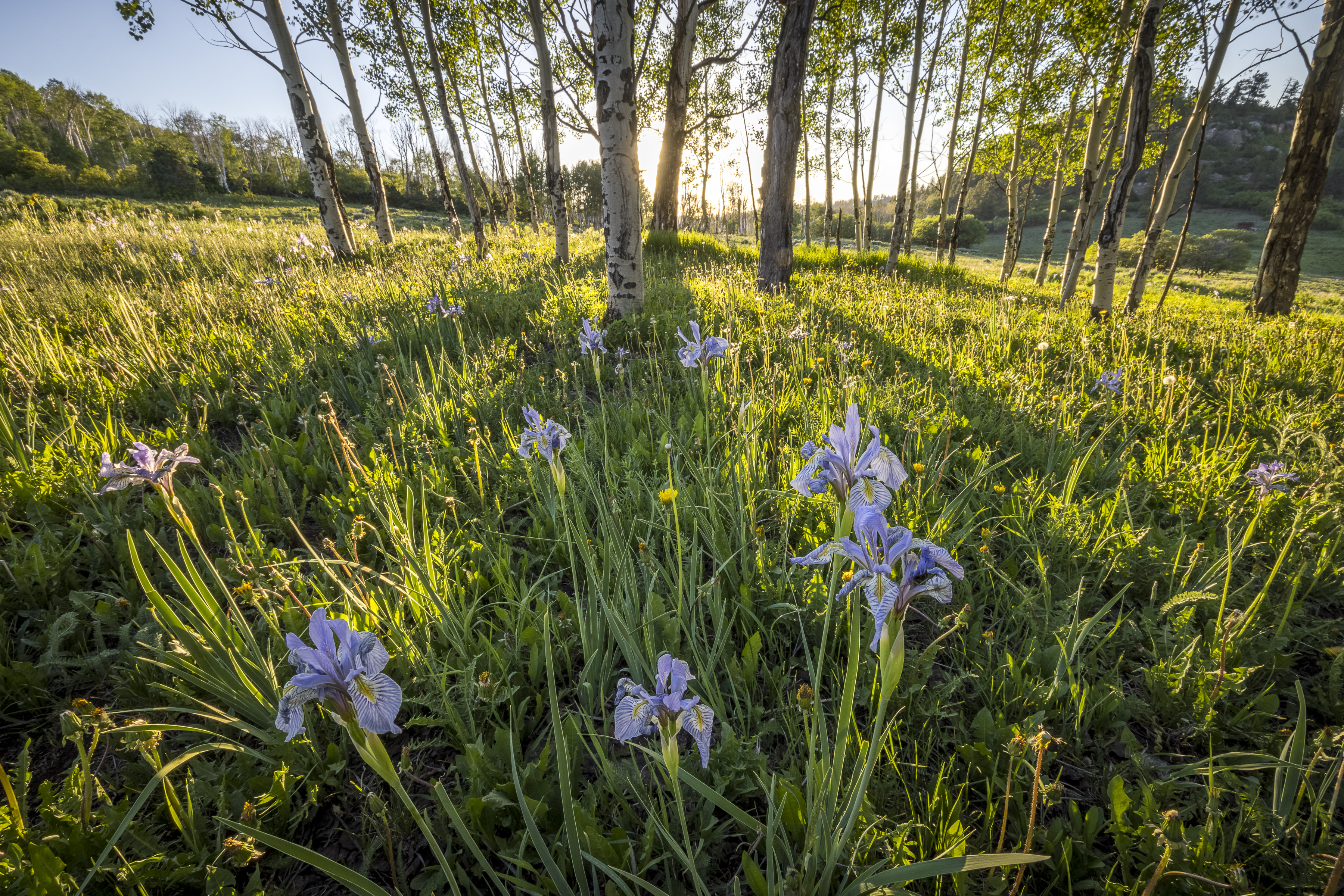  Telluride Renegade Ranch - 602 acres on Hastings Mesa - 物件實景