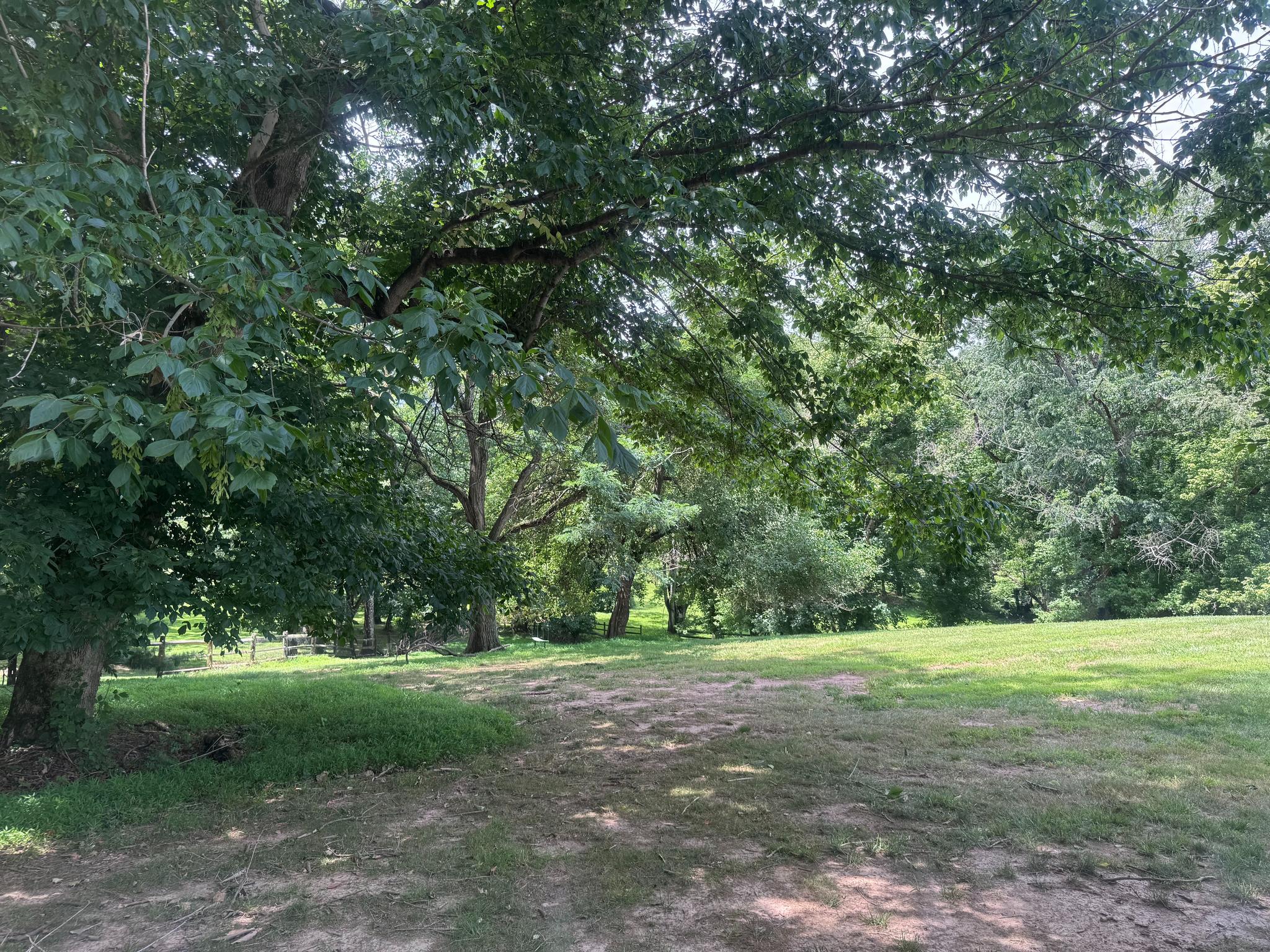  10812 Cripplegate, Potomac, MD, 20854 - 物件實景