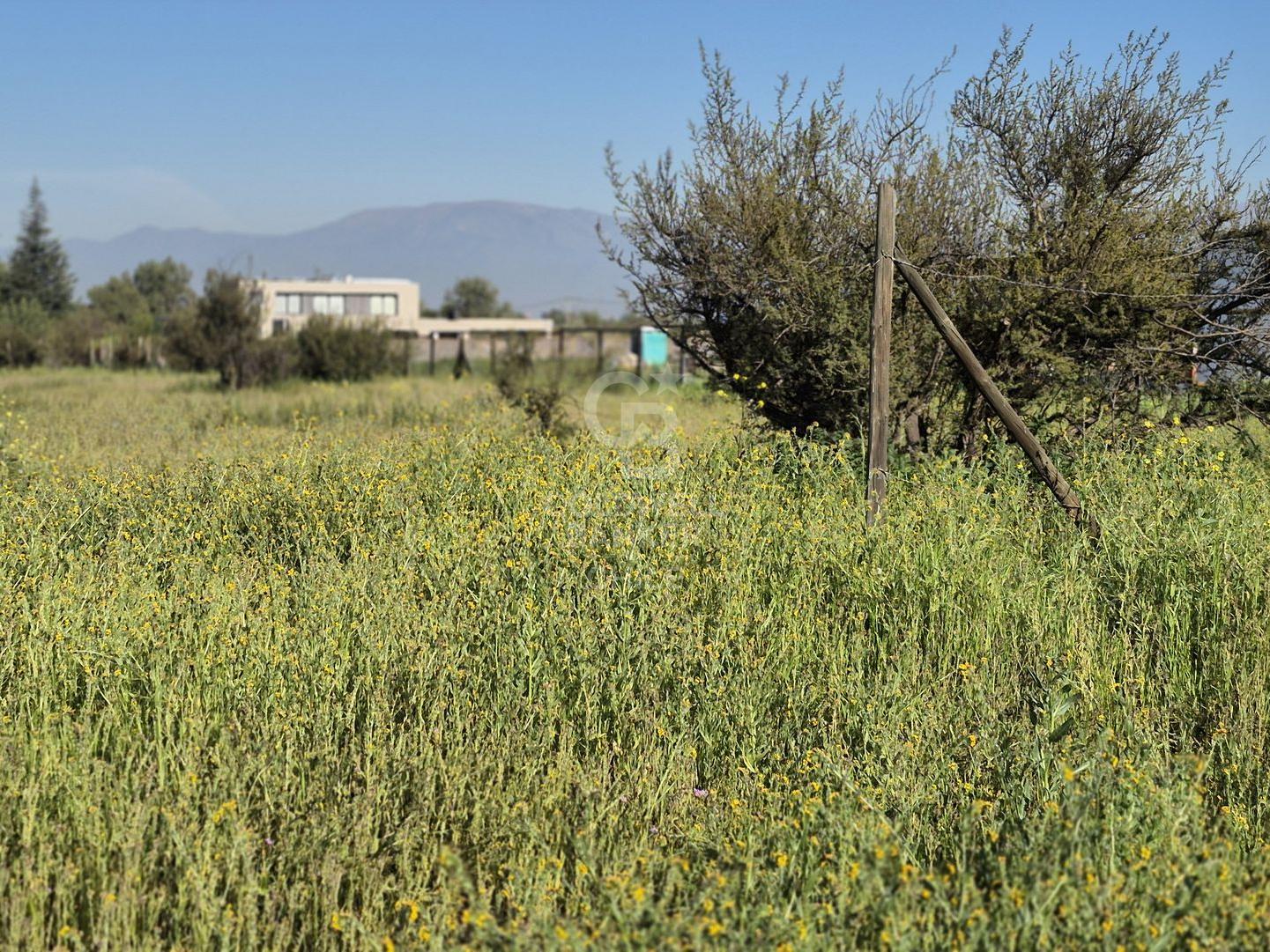 Colina, Chile, ,Land,For Sale,1958445