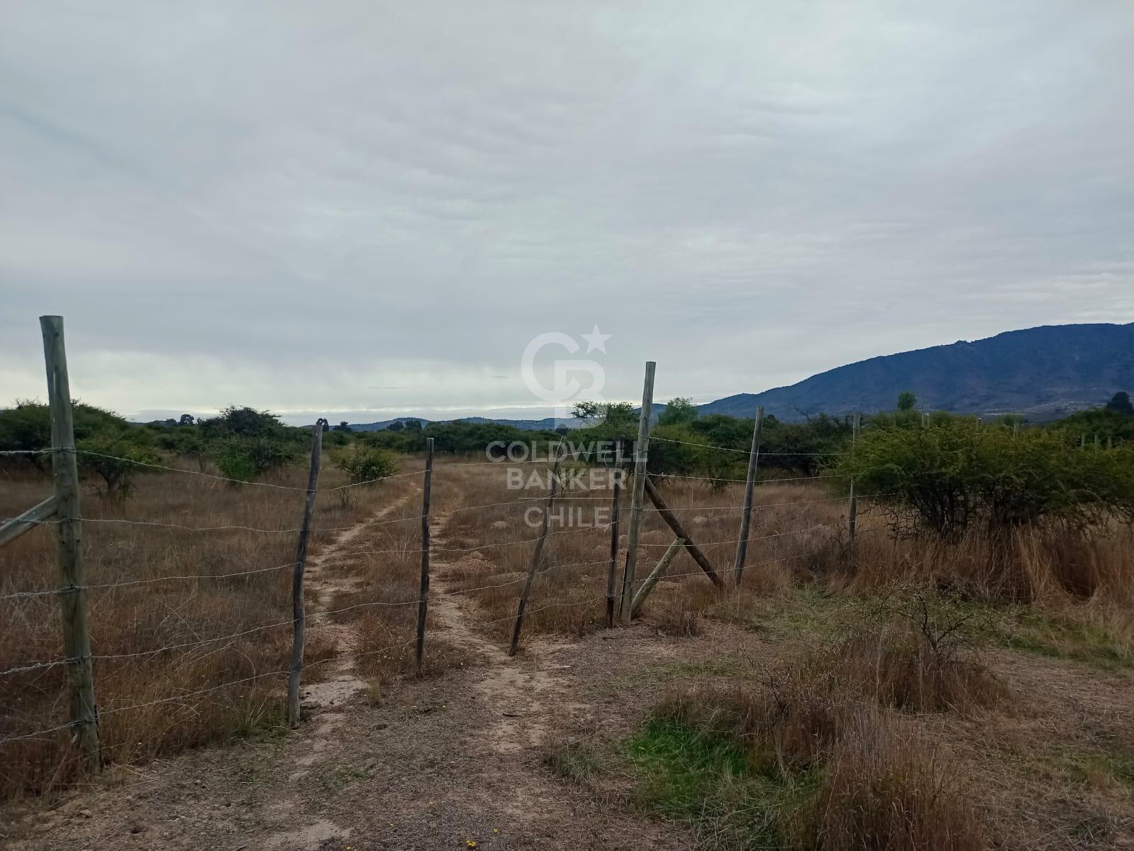 Zapallar, Chile, ,Residential,For Sale,1838115