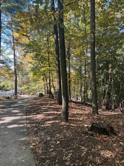 Atlanta, Georgia, 30327, United States, ,Land,For Sale,1988161