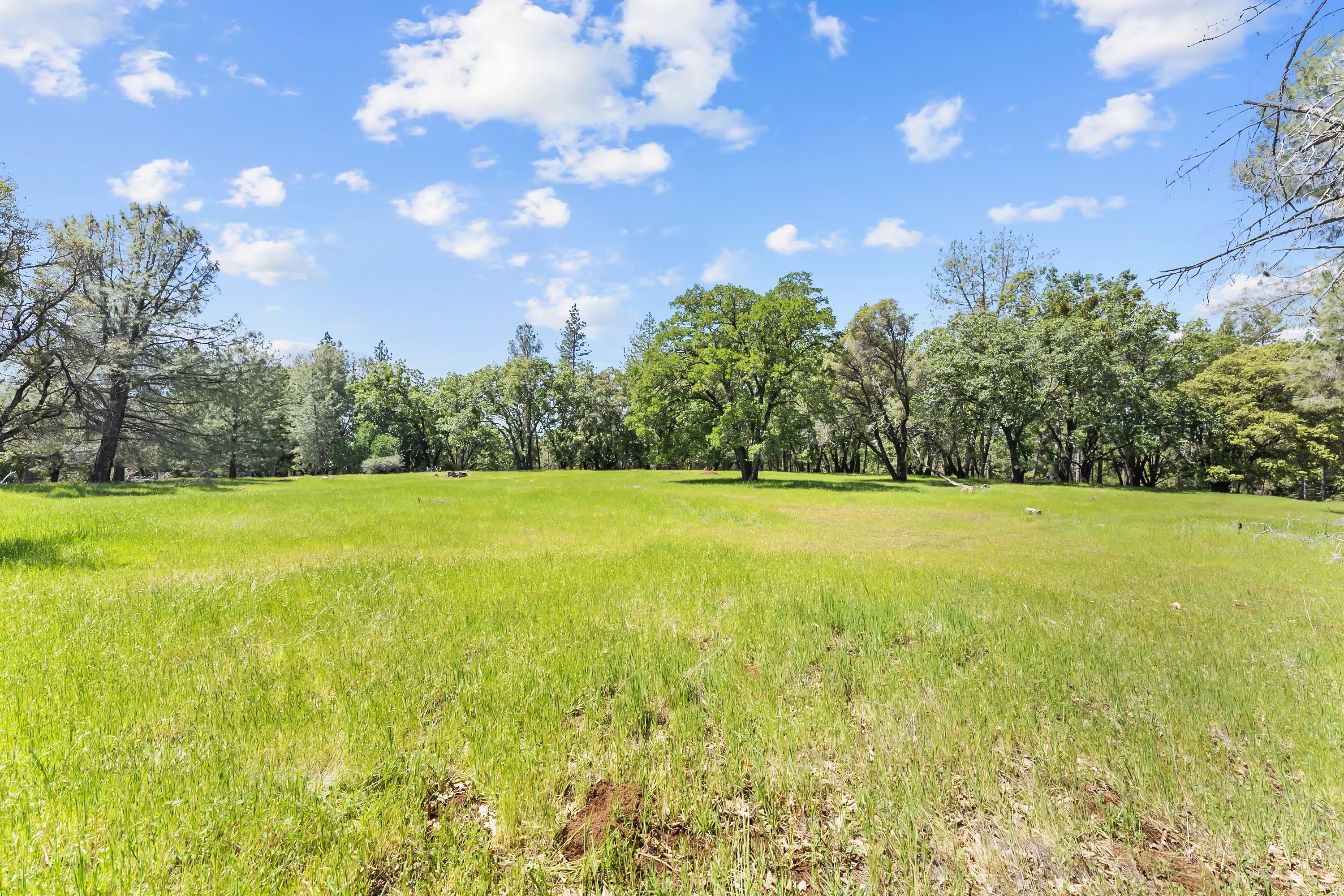  21 Acres - Gated - Renovated - 物件實景