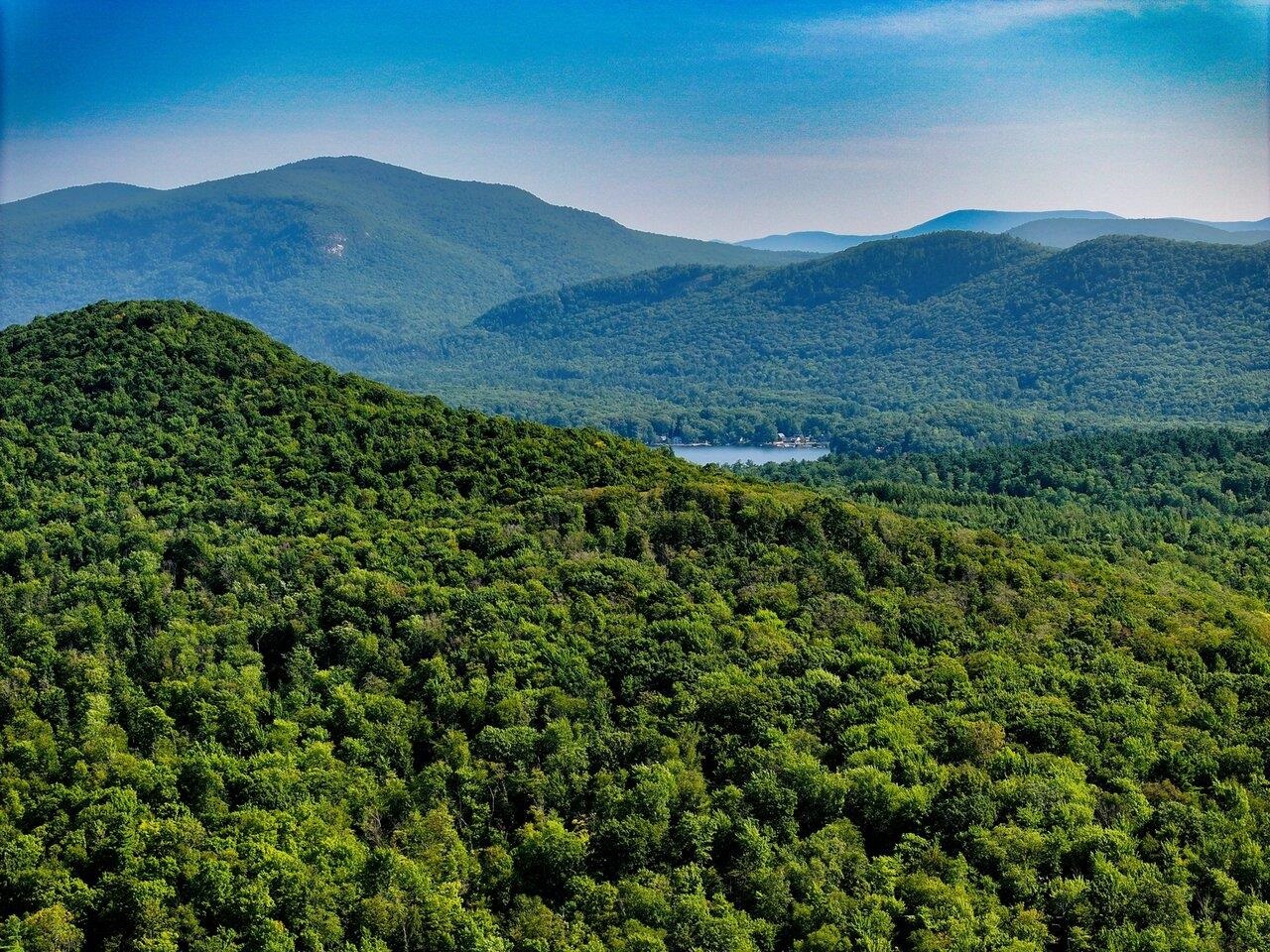 Leicester, Vermont, 05733, United States, ,Land,For Sale,1916983