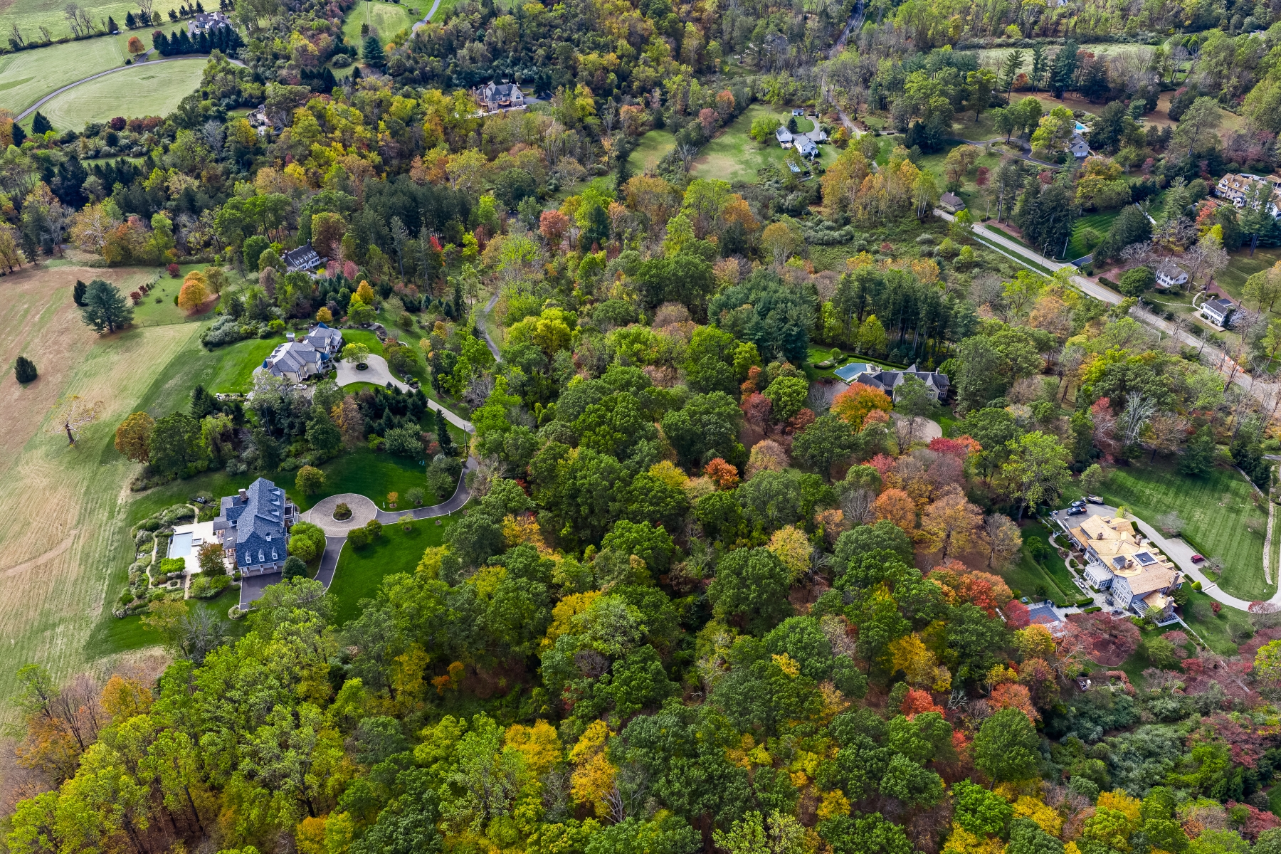  Bucolic Estate Lot - 物件實景