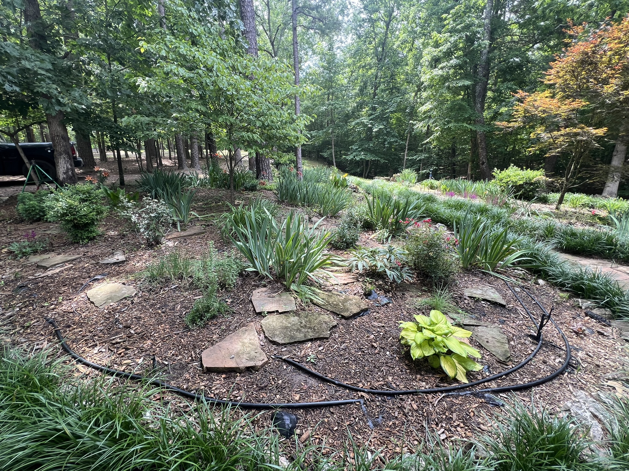 Mena, Arkansas, 71953, United States, 3 Bedrooms Bedrooms, ,3 BathroomsBathrooms,Residential,For Sale,1979119