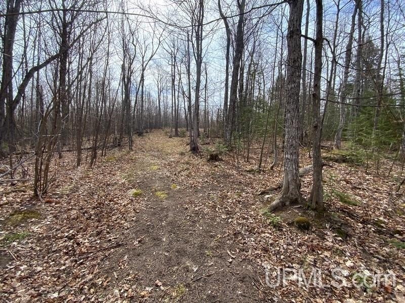 TBD W US 41, Marquette, Michigan, 49855, United States, ,Residential,For Sale,TBD W US 41,1601608