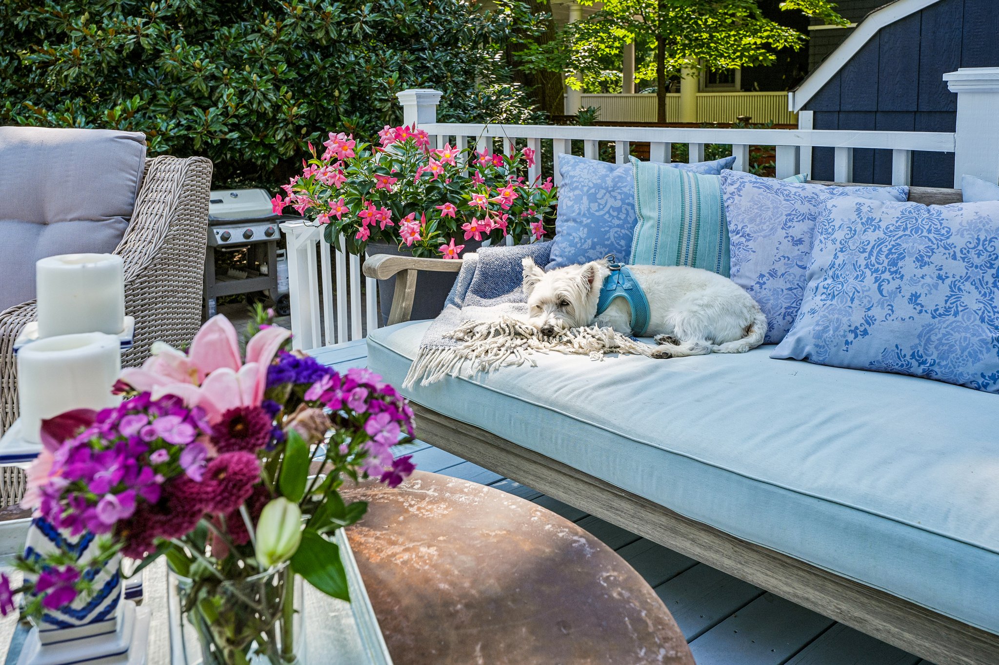  134 Norwood Avenue, Montclair, NJ 07043 - 物件實景