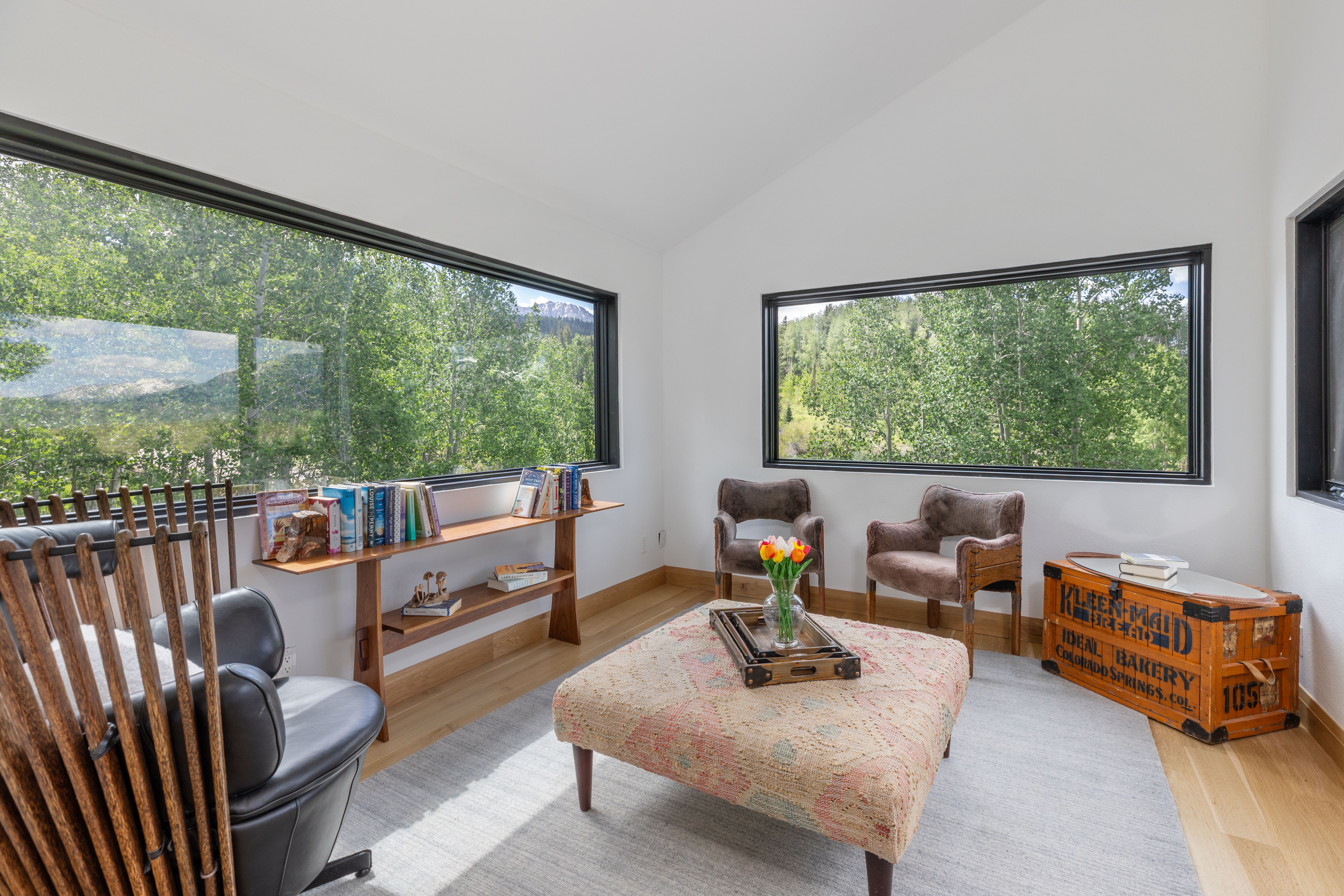  Secluded 4 Bed / 4 Bath Telluride Property - 物件實景