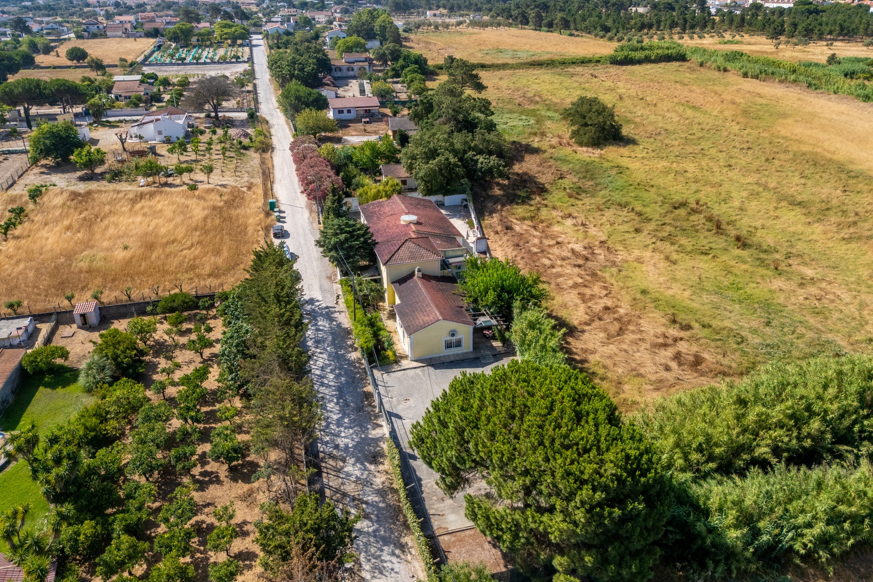  House, 12 bedrooms, for Sale - 物件實景