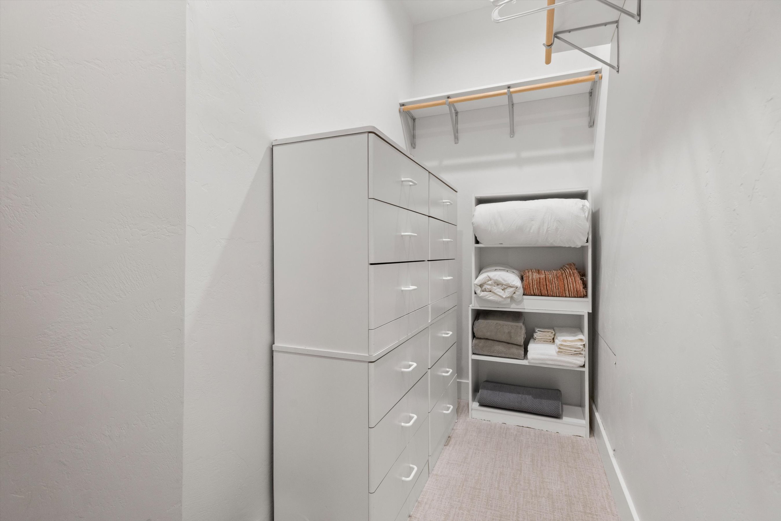  736 W Smuggler Street, Aspen, CO, 81611 - 物件實景