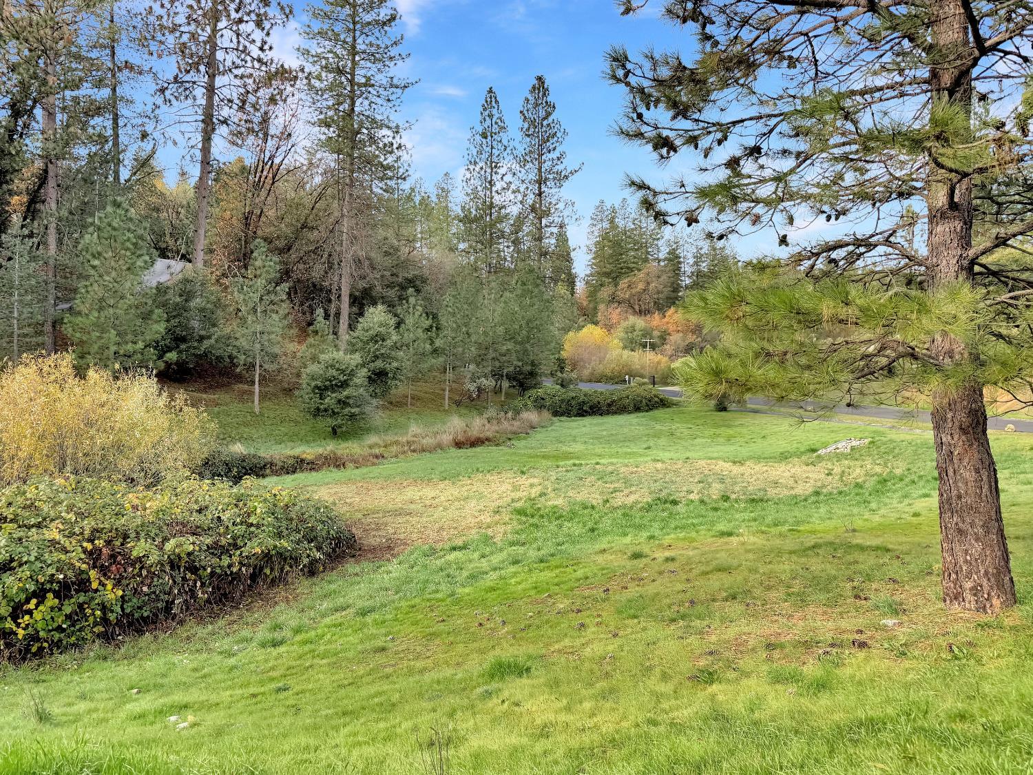 Colfax, California, 95713, United States, 5 Bedrooms Bedrooms, ,3 BathroomsBathrooms,Residential,For Sale,2002832