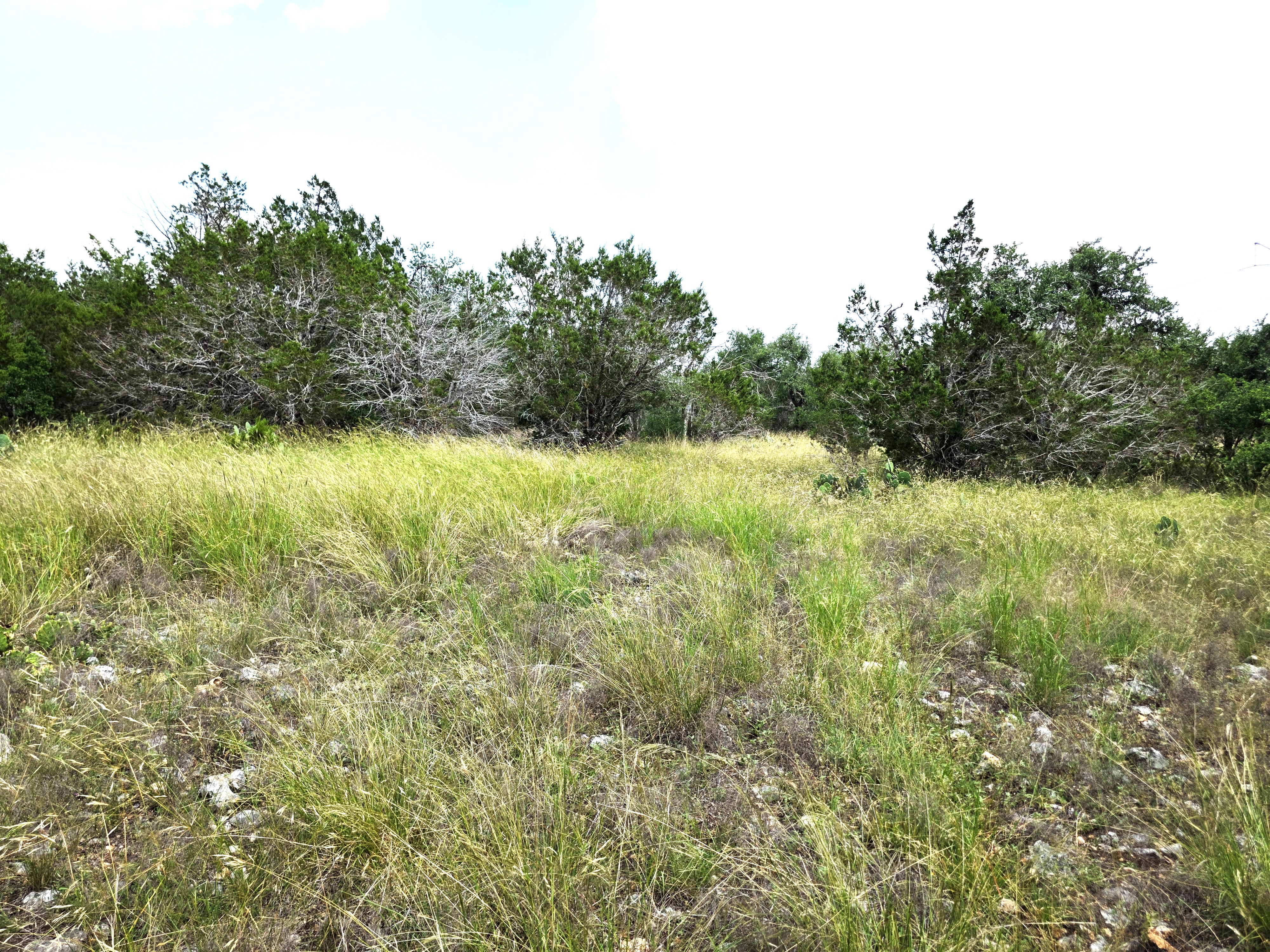 San Marcos, Texas, 78666, United States, ,Land,For Sale,1976108