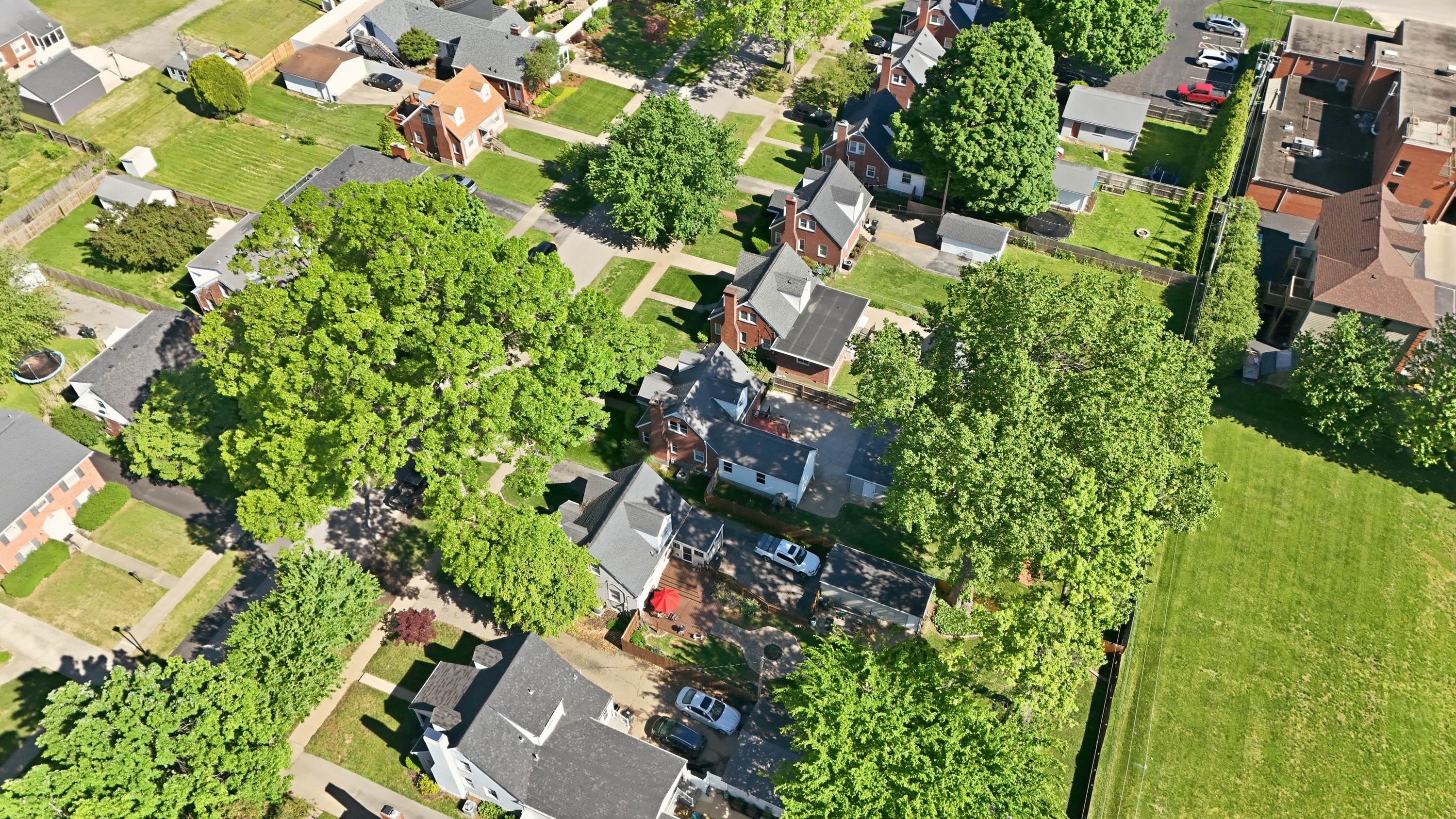  225 Brown Avenue, Louisville, KY 40207 - 物件實景
