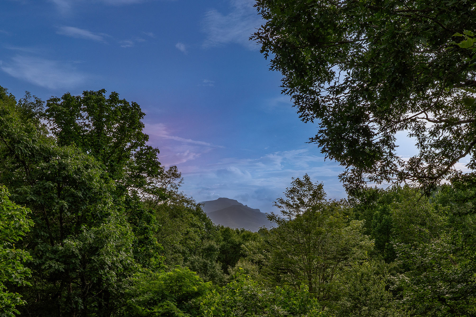  YONAHLOSSEE - BOONE - 物件實景