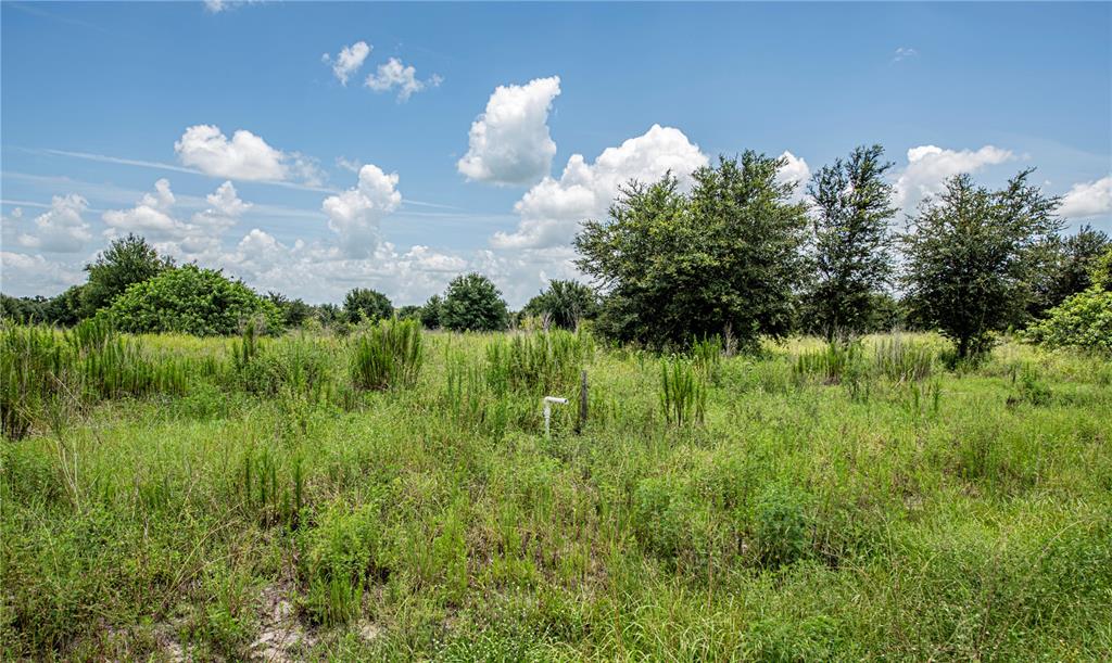 Arcadia, Florida, 34269, United States, ,Land,For Sale,1997252