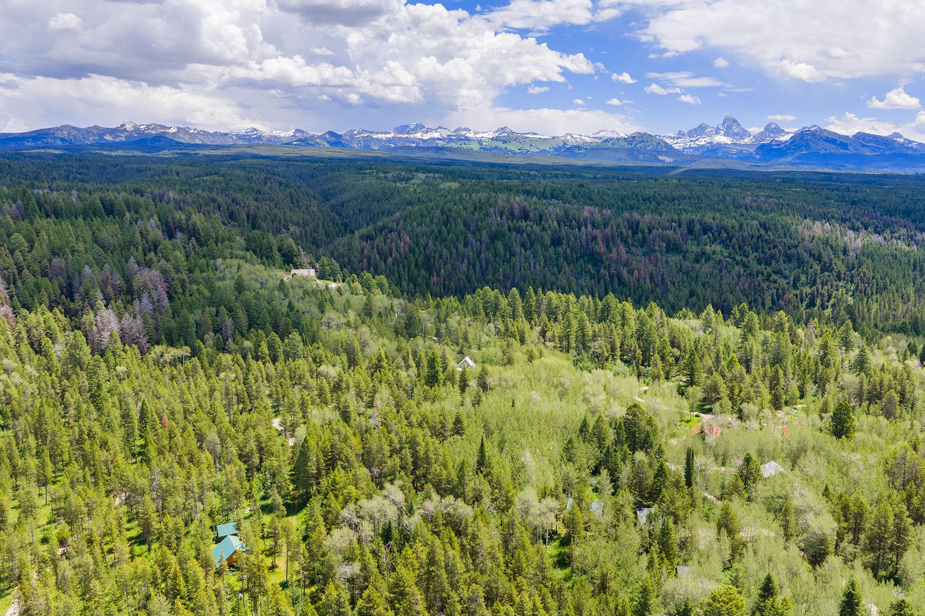  The Woodland at Grand Teton Estates - 物件實景