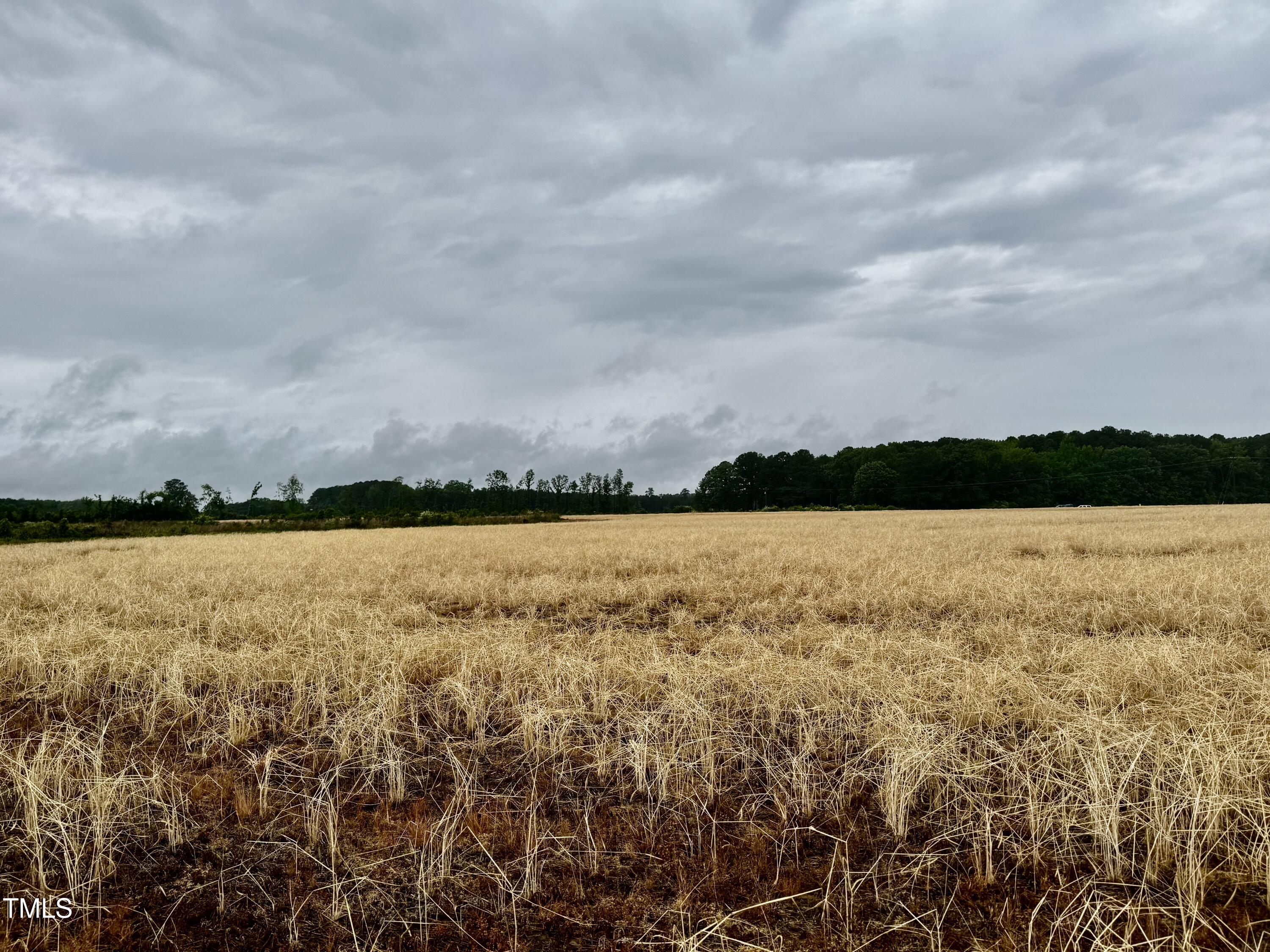 Murfreesboro, North Carolina, 27855, United States, ,Land,For Sale,1796477