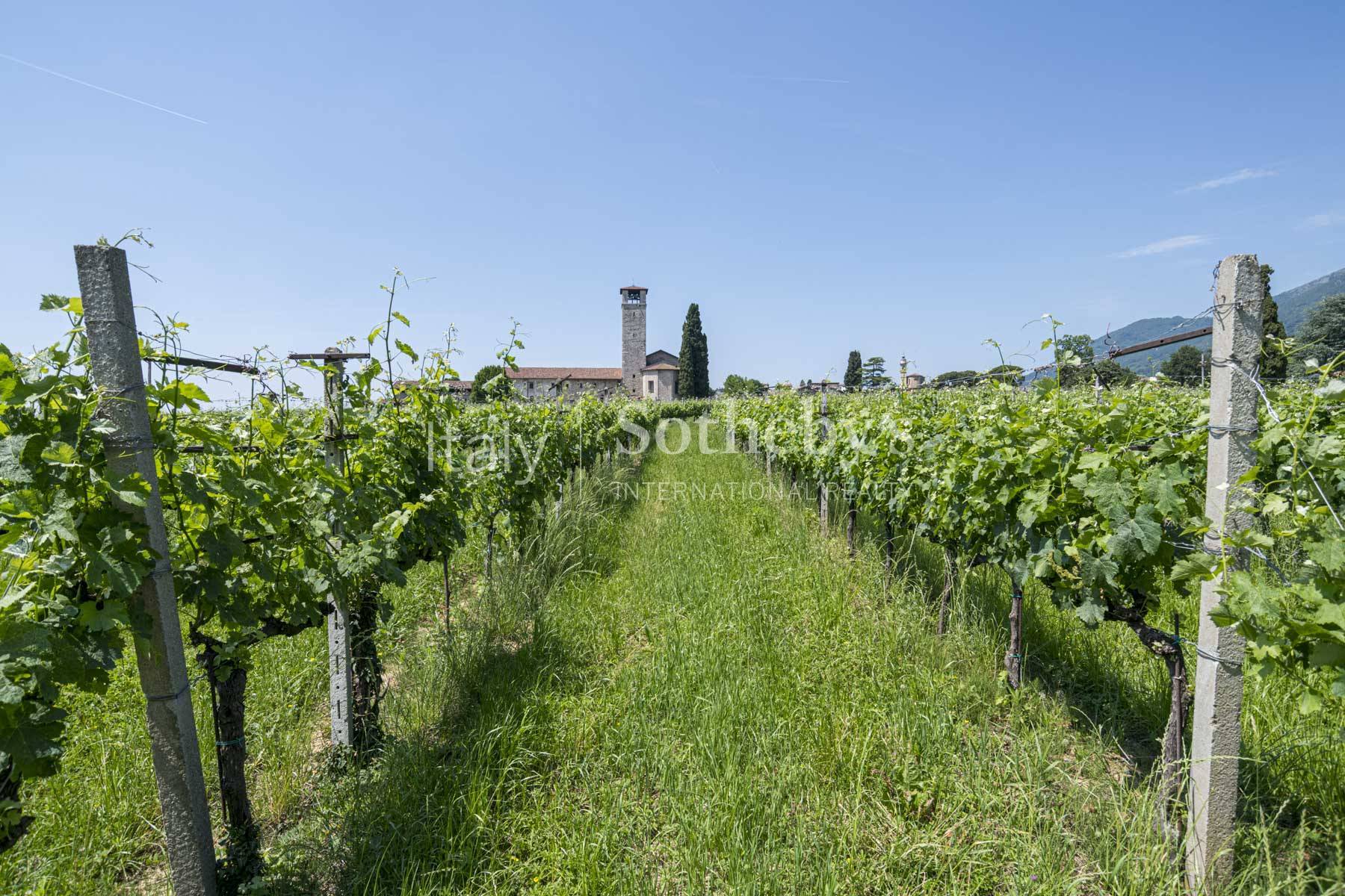  Historic agricultural estate with vineyards and heritage complex - 物件實景