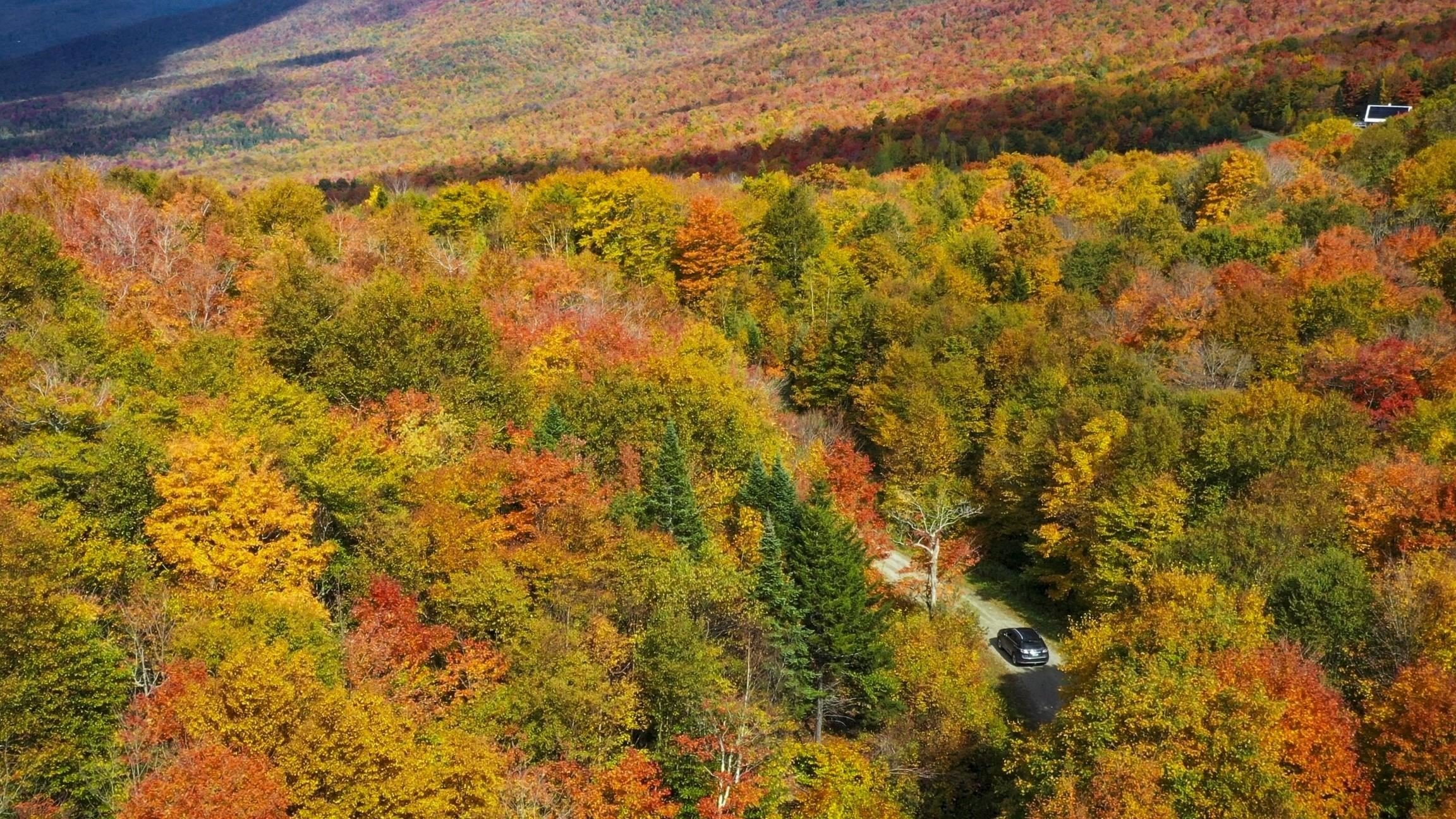 Jay, Vermont, 05859, United States, ,Land,For Sale,1999221