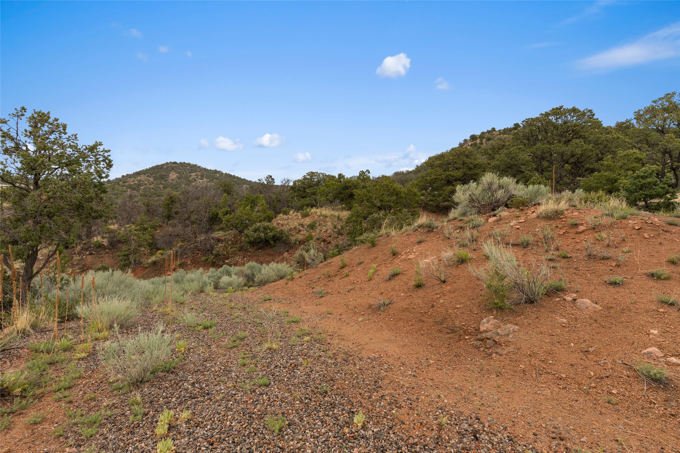  16 S Cloudstone Dr. - 物件實景