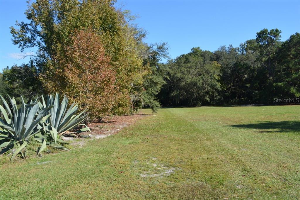 Sanford, Florida, 32773, United States, ,Land,For Sale,1987674