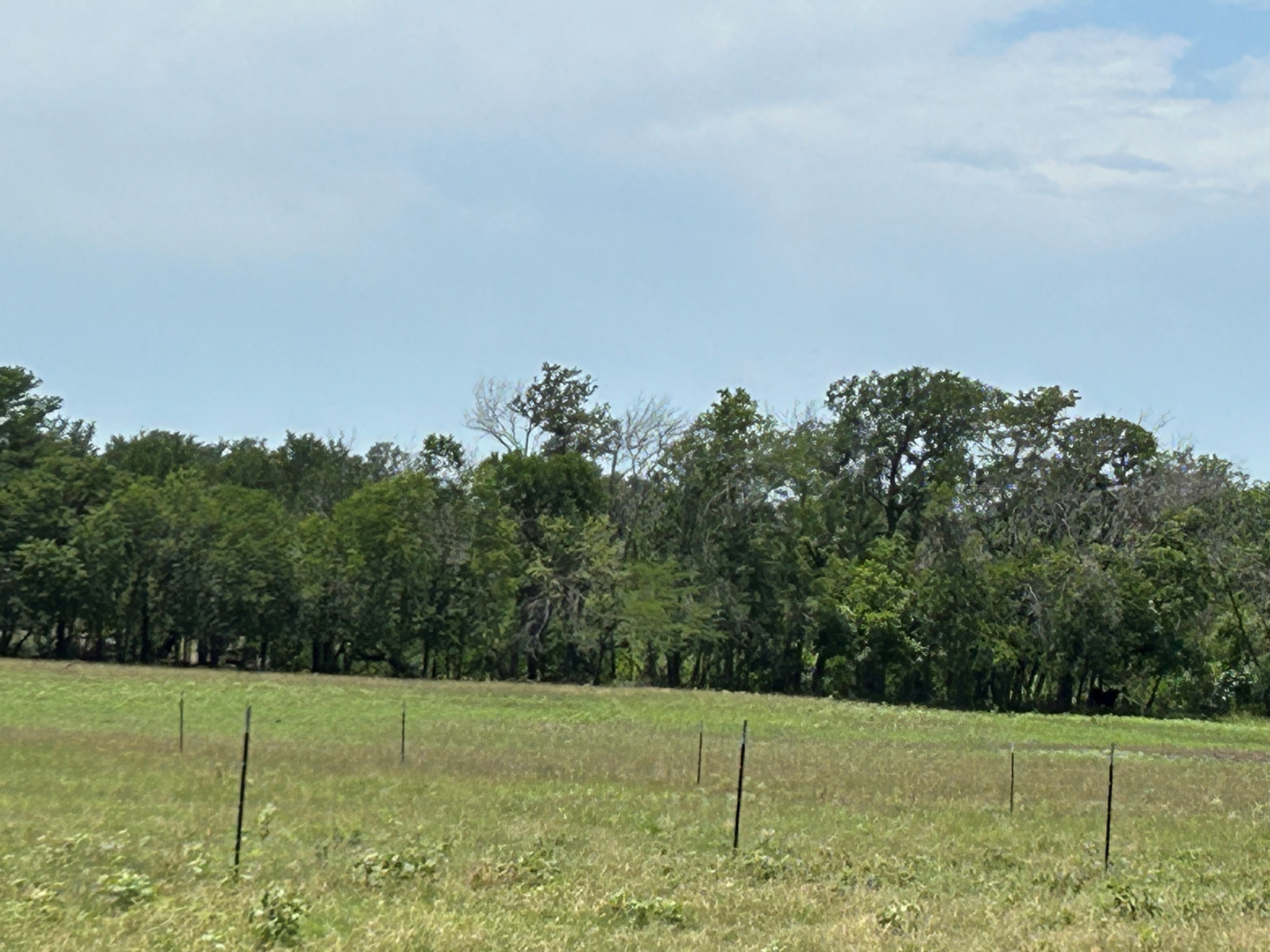 Bridgeport, Texas, 76426, United States, ,Residential,For Sale,1697871