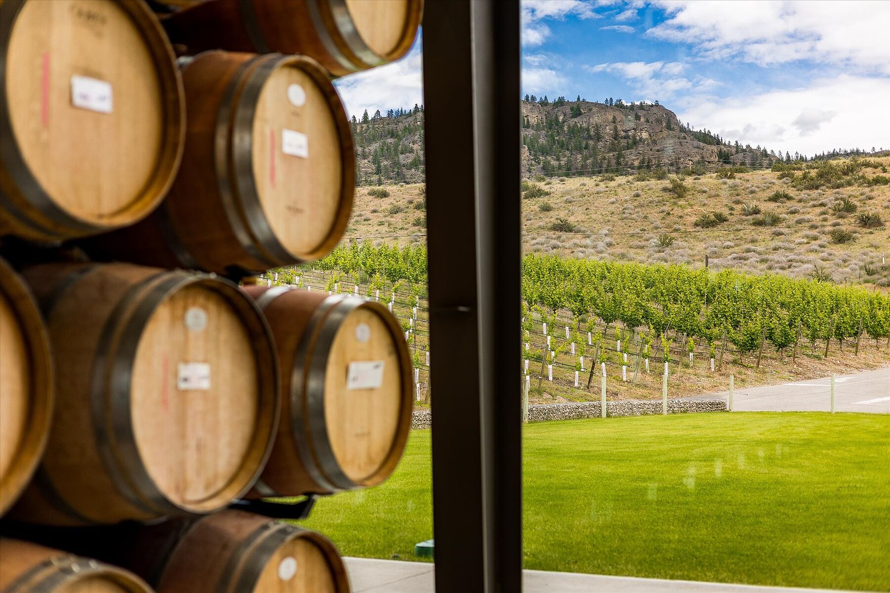  Oliver Winery Opportunity - 物件實景