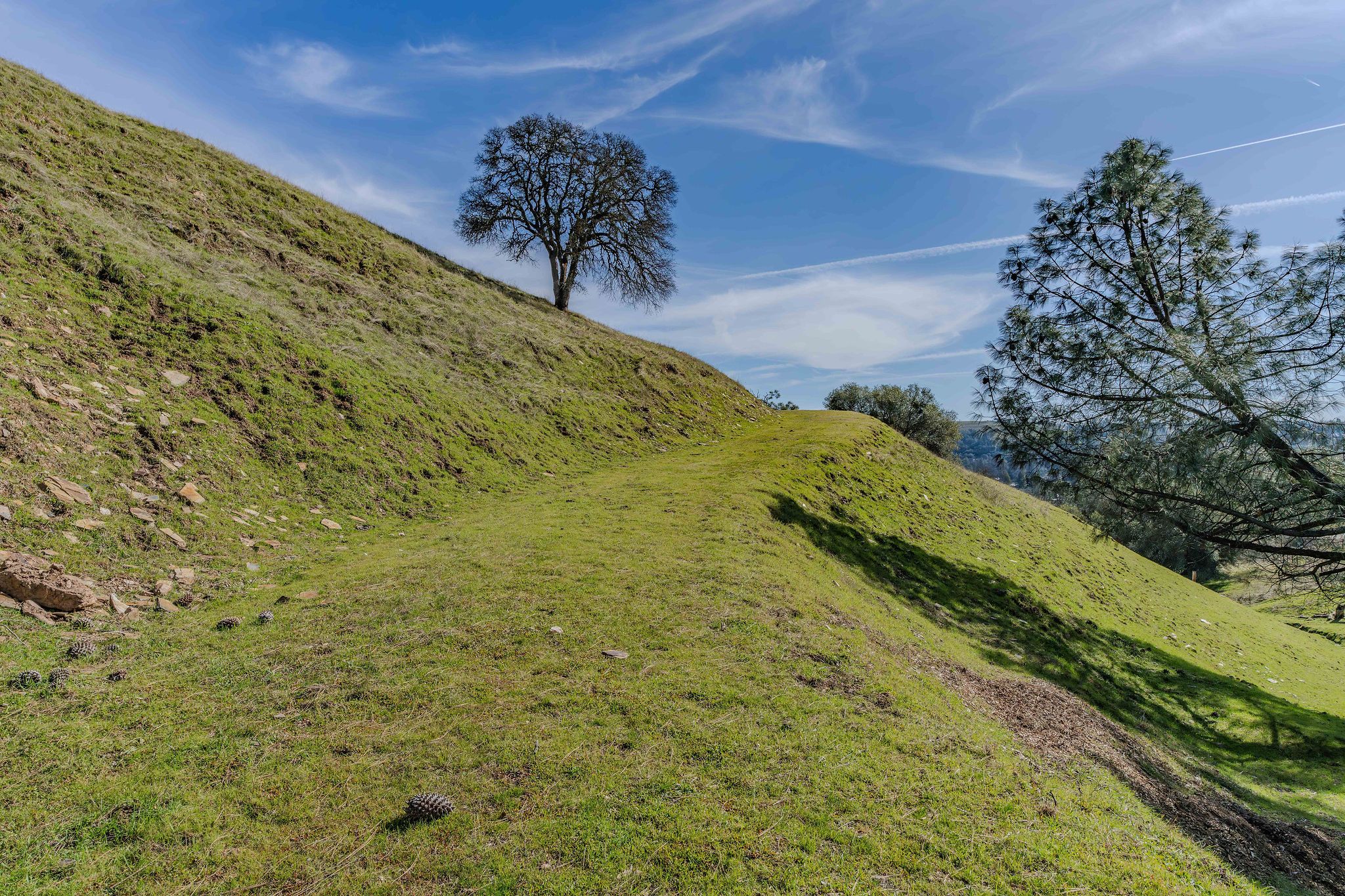  0 Old Hwy 49, Sutter Creek, CA 95685 - 物件實景