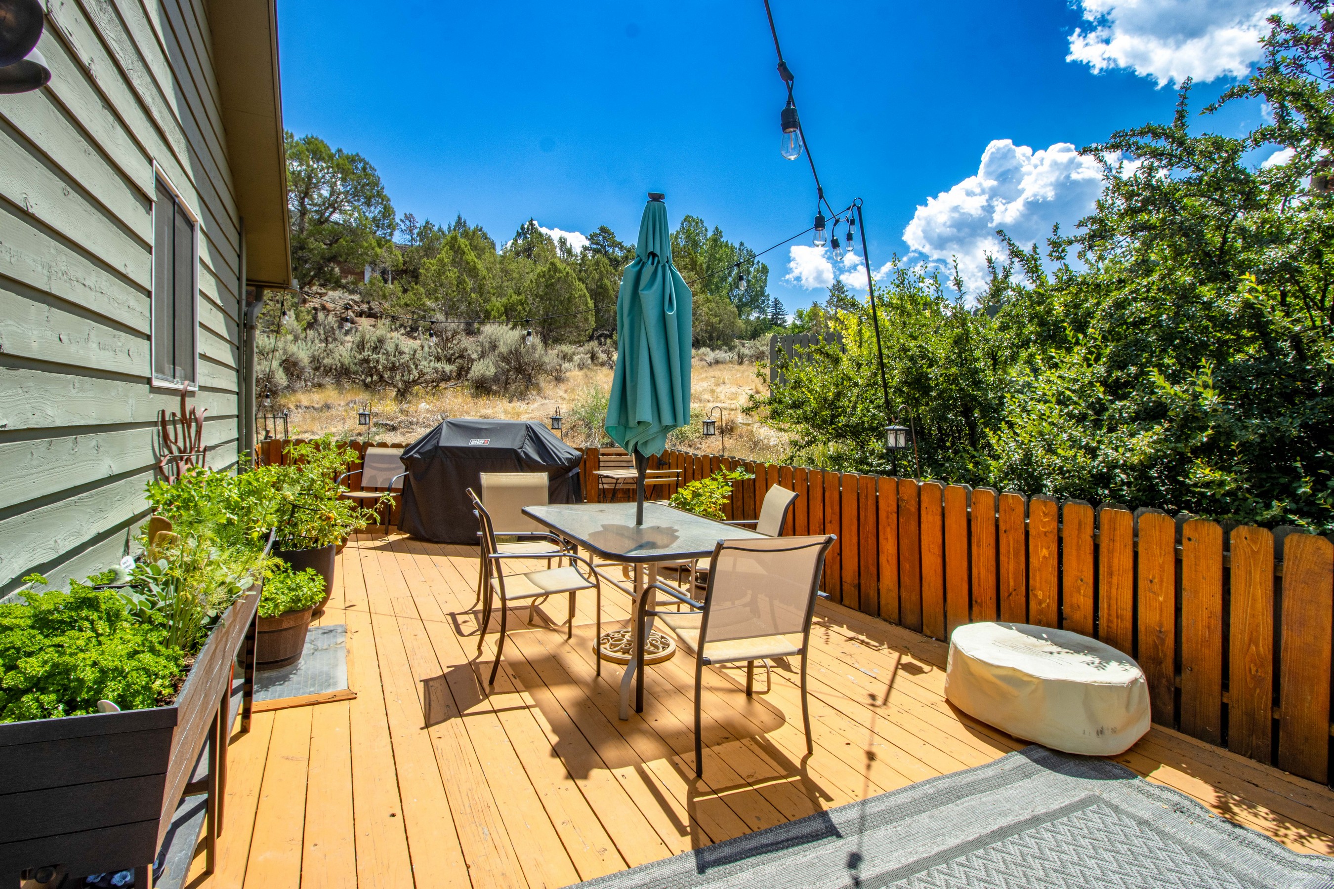  56 Sagewood Court, Basalt, CO 81621 - 物件實景