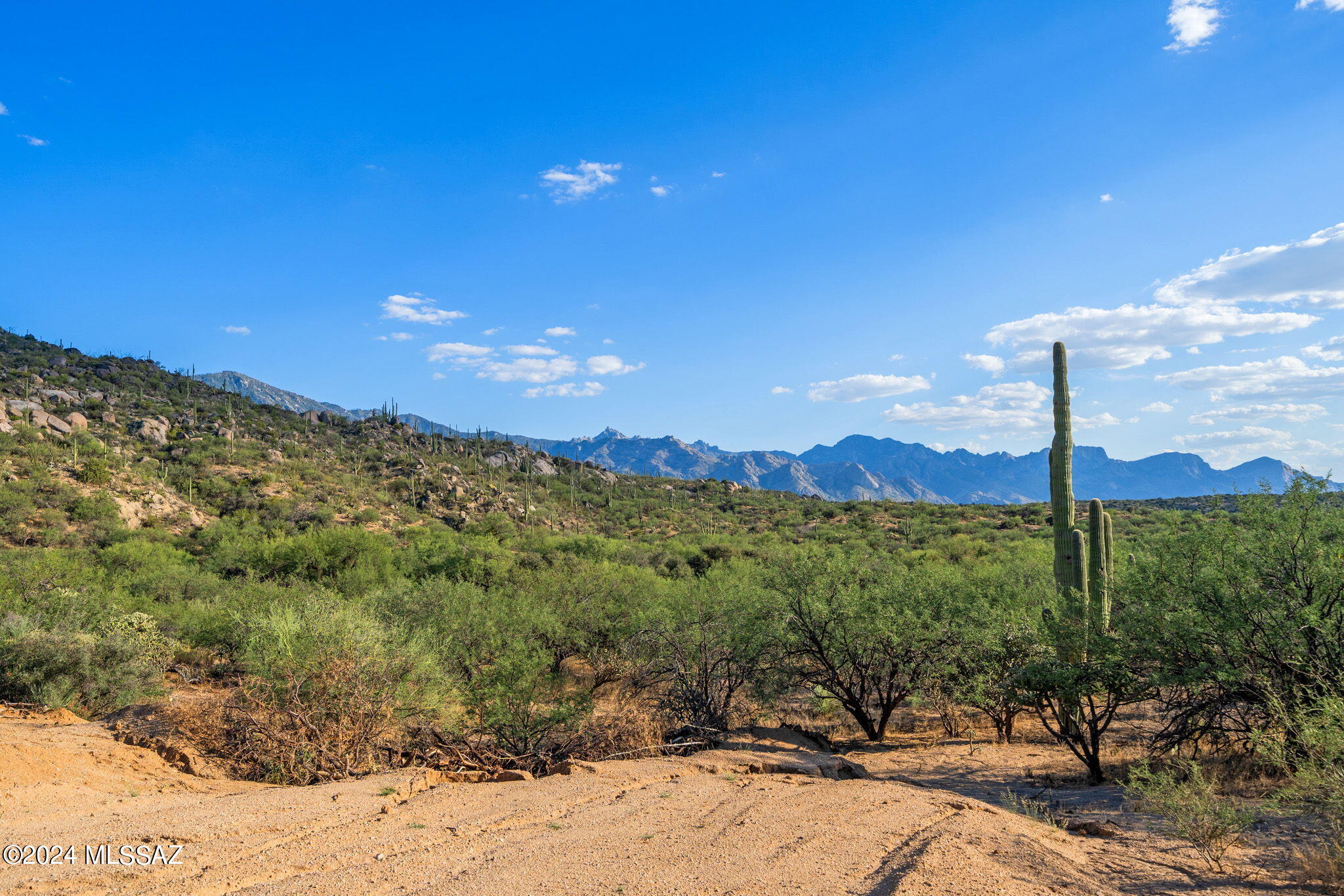 Tucson, Arizona, 85739, United States, ,Land,For Sale,1744993