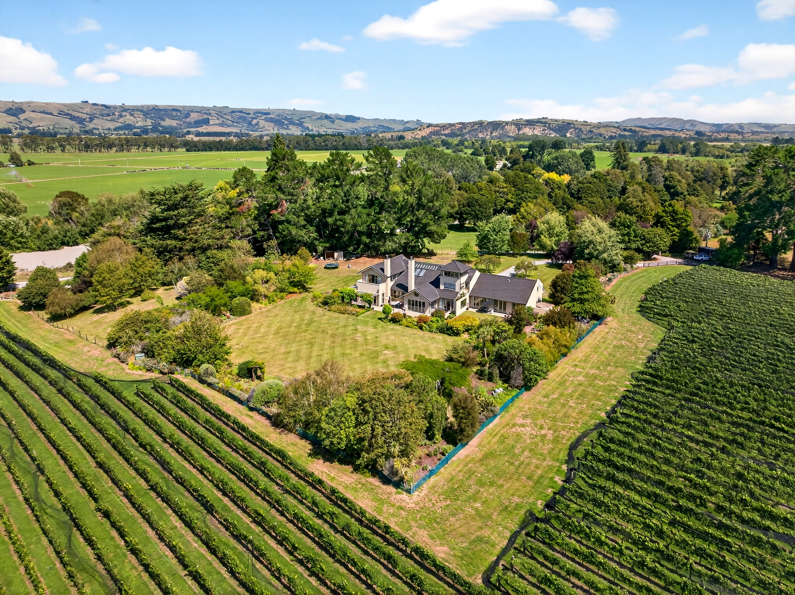  A Life Amongst the Vines - 物件實景
