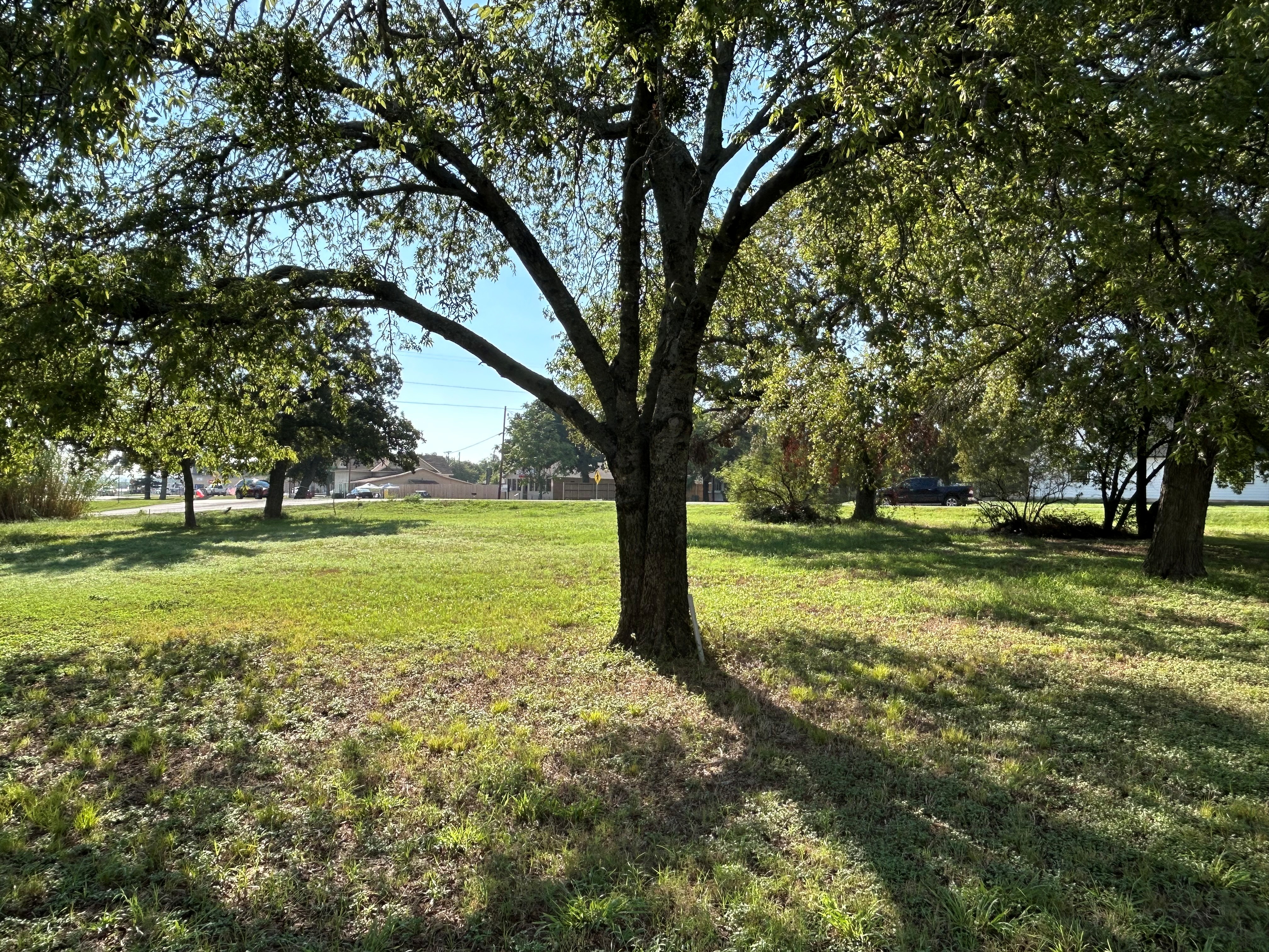 Boyd, Texas, 76023, United States, ,Land,For Sale,1974224