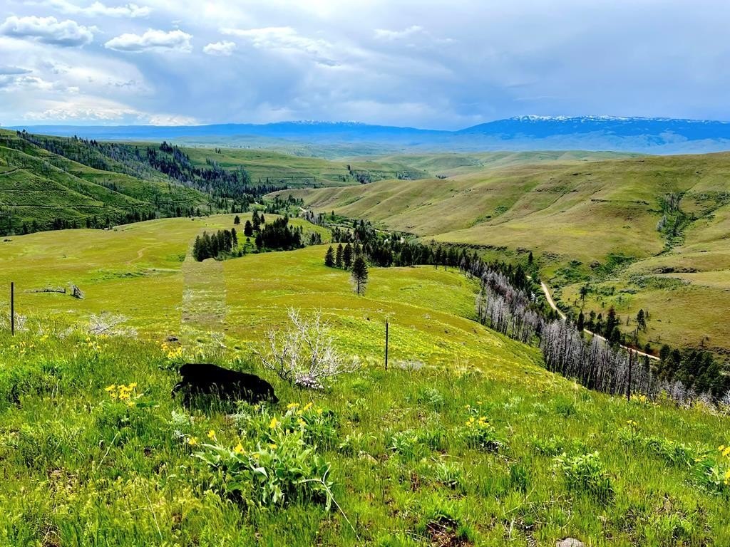 Council, Idaho, 83612, United States, ,Residential,For Sale,1980255