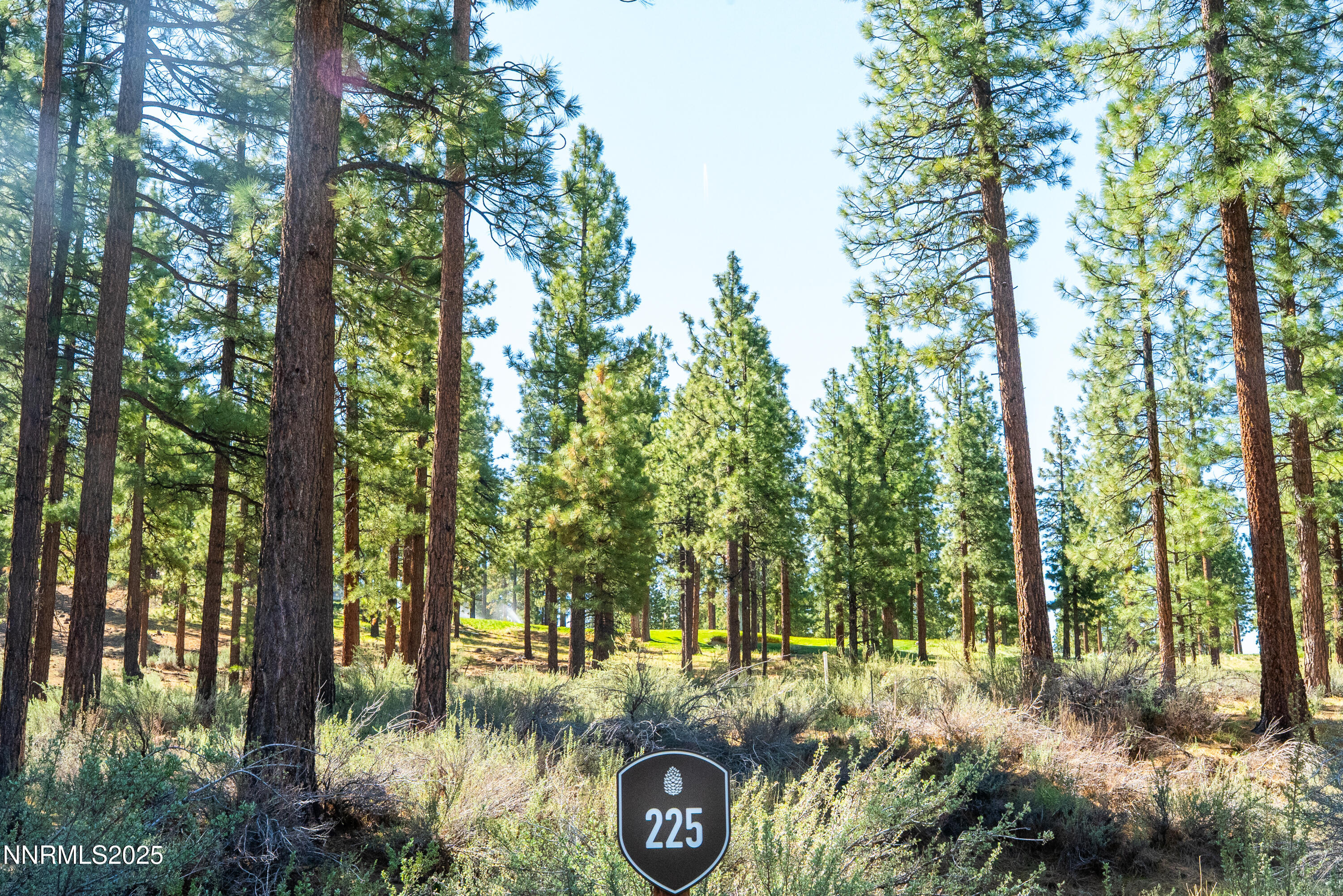 Carson City, Nevada, 89705, United States, ,Land,For Sale,1846834