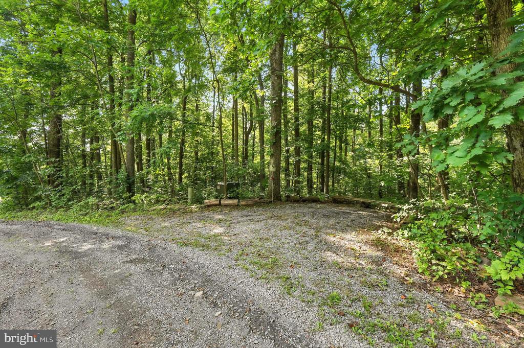 Chester Gap, Virginia, 22623, United States, 4 Bedrooms Bedrooms, ,4 BathroomsBathrooms,Residential,For Sale,1980820