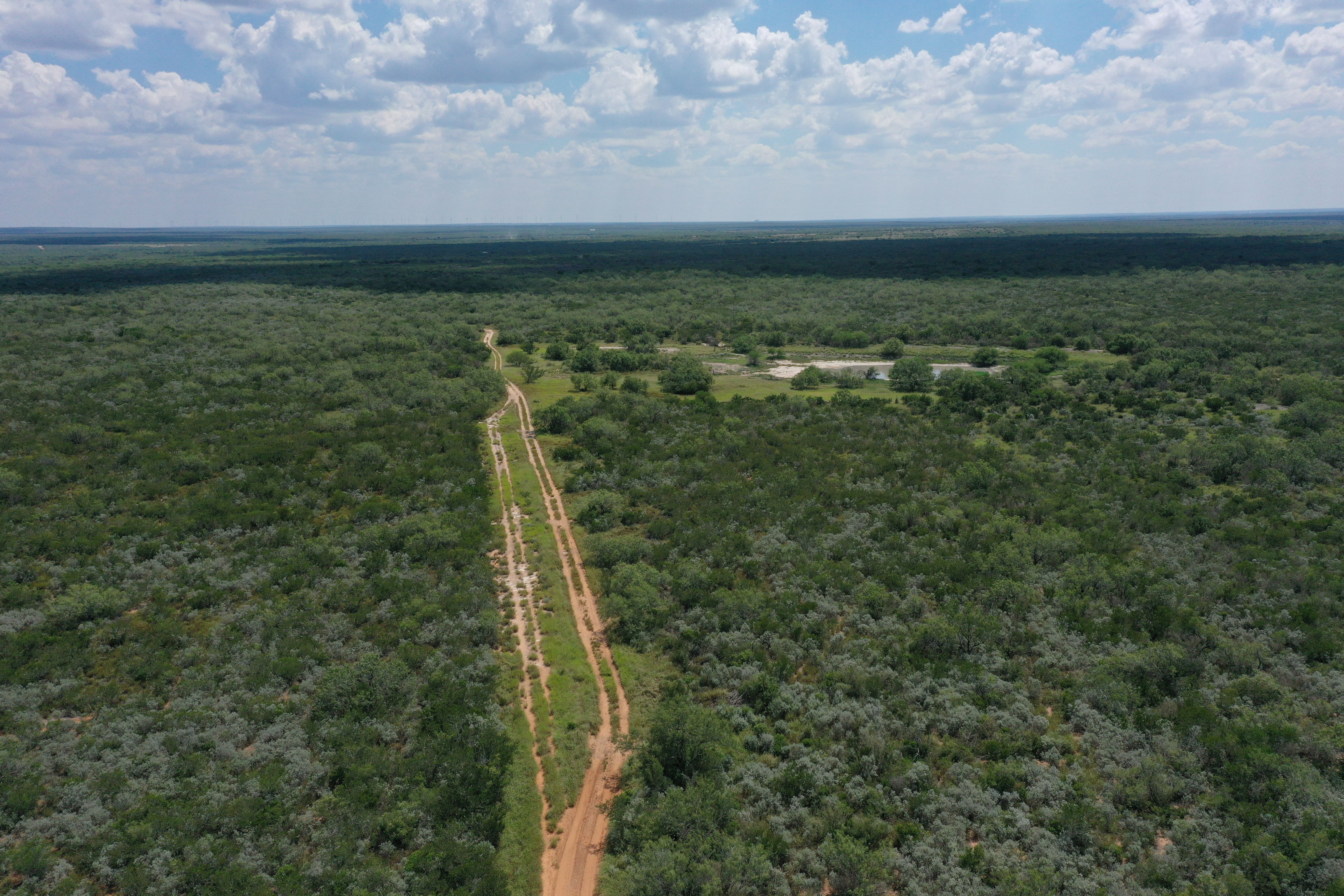  Historic El Tecomate Hunting Ranch - 物件實景