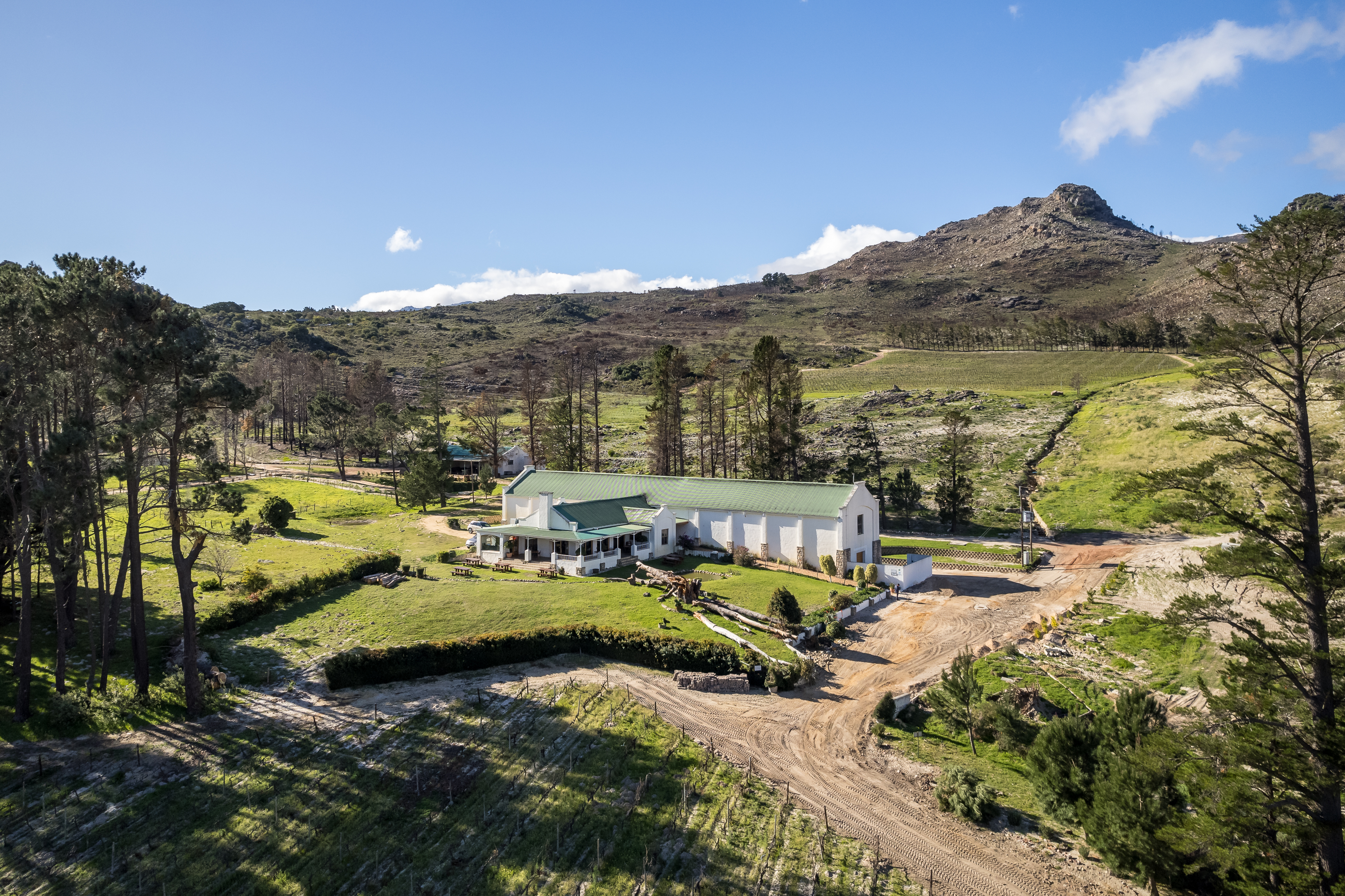  An Exceptional Boutique Wine Estate in the Heart of the Cape Winelands - 物件實景