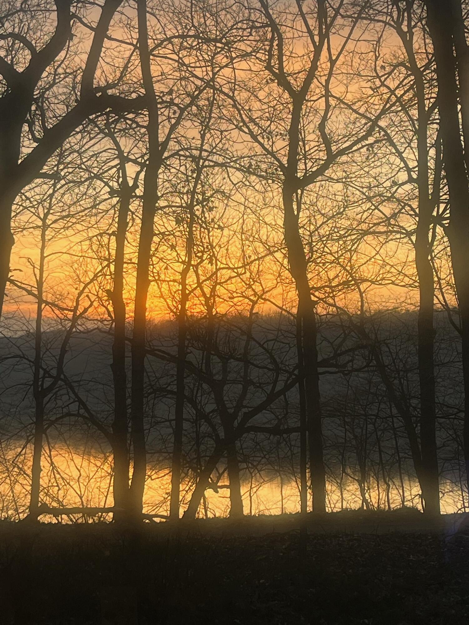 Lowell, Michigan, 49331, United States, 2 Bedrooms Bedrooms, ,2 BathroomsBathrooms,Residential,For Sale,1987591