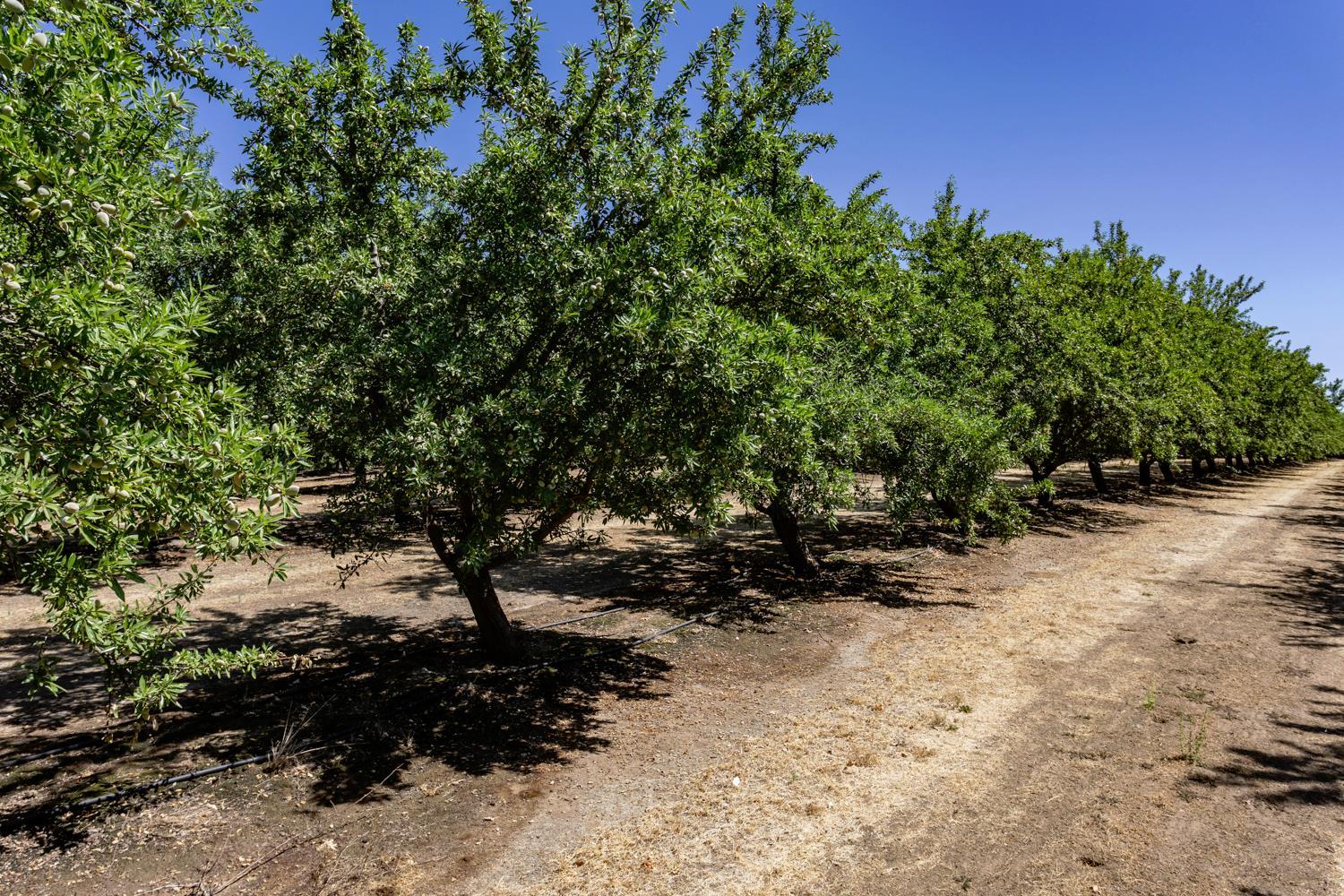 Oakdale, California, 95361, United States, 3 Bedrooms Bedrooms, ,2 BathroomsBathrooms,Residential,For Sale,1982799