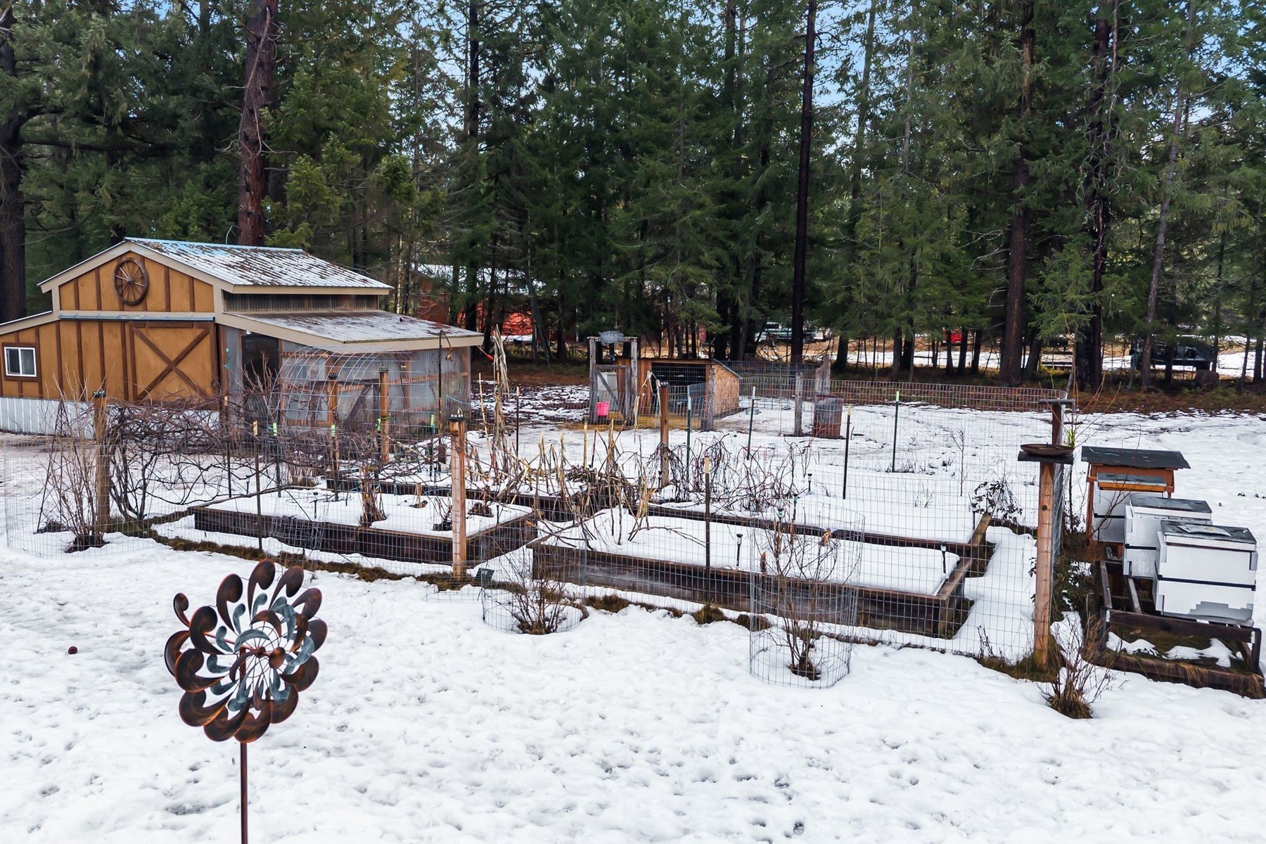  Charming Country Home on 10 Acres - 物件實景