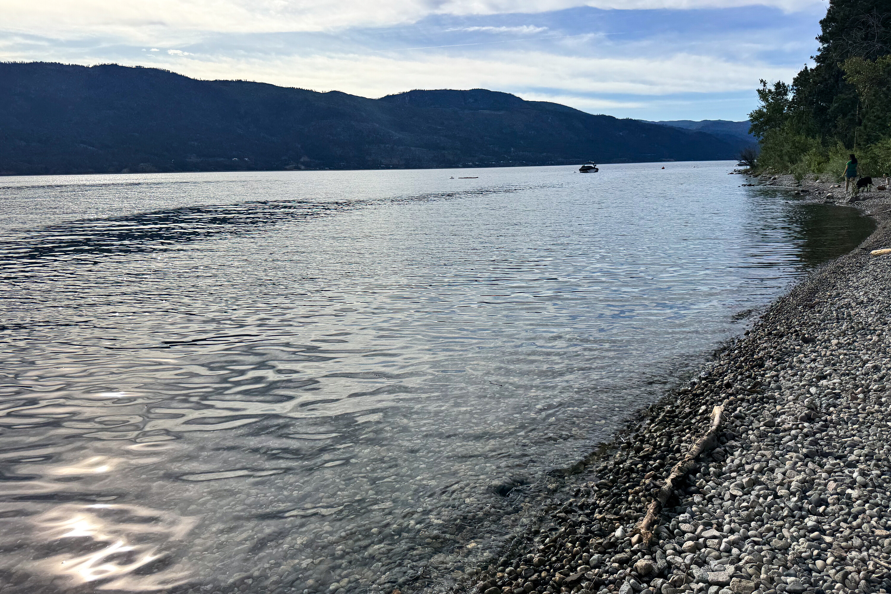  Okanagan Lake View & Access - 物件實景