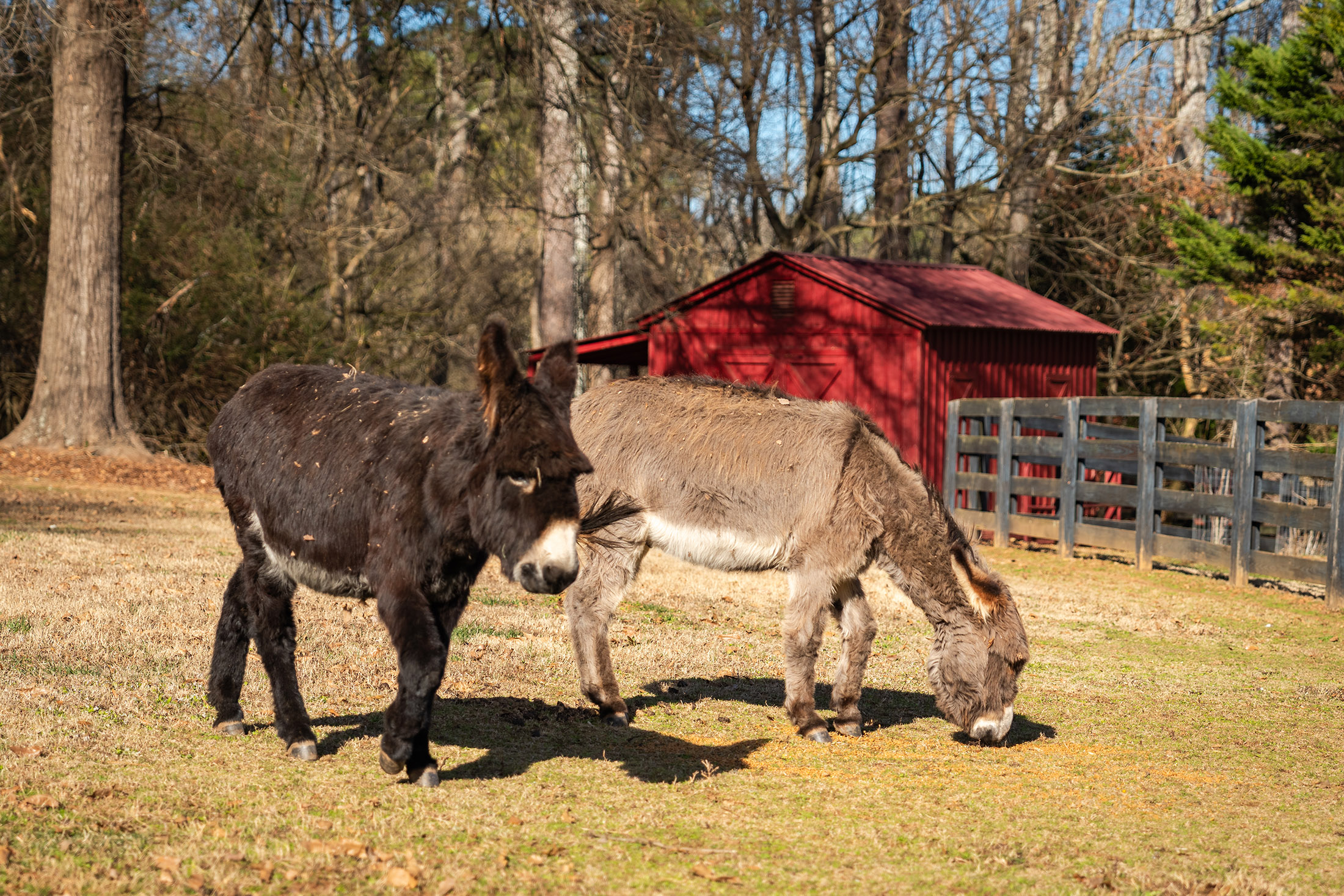  Opportunity to Own a Truly Exceptional Equestrian Farm Estate - 物件實景