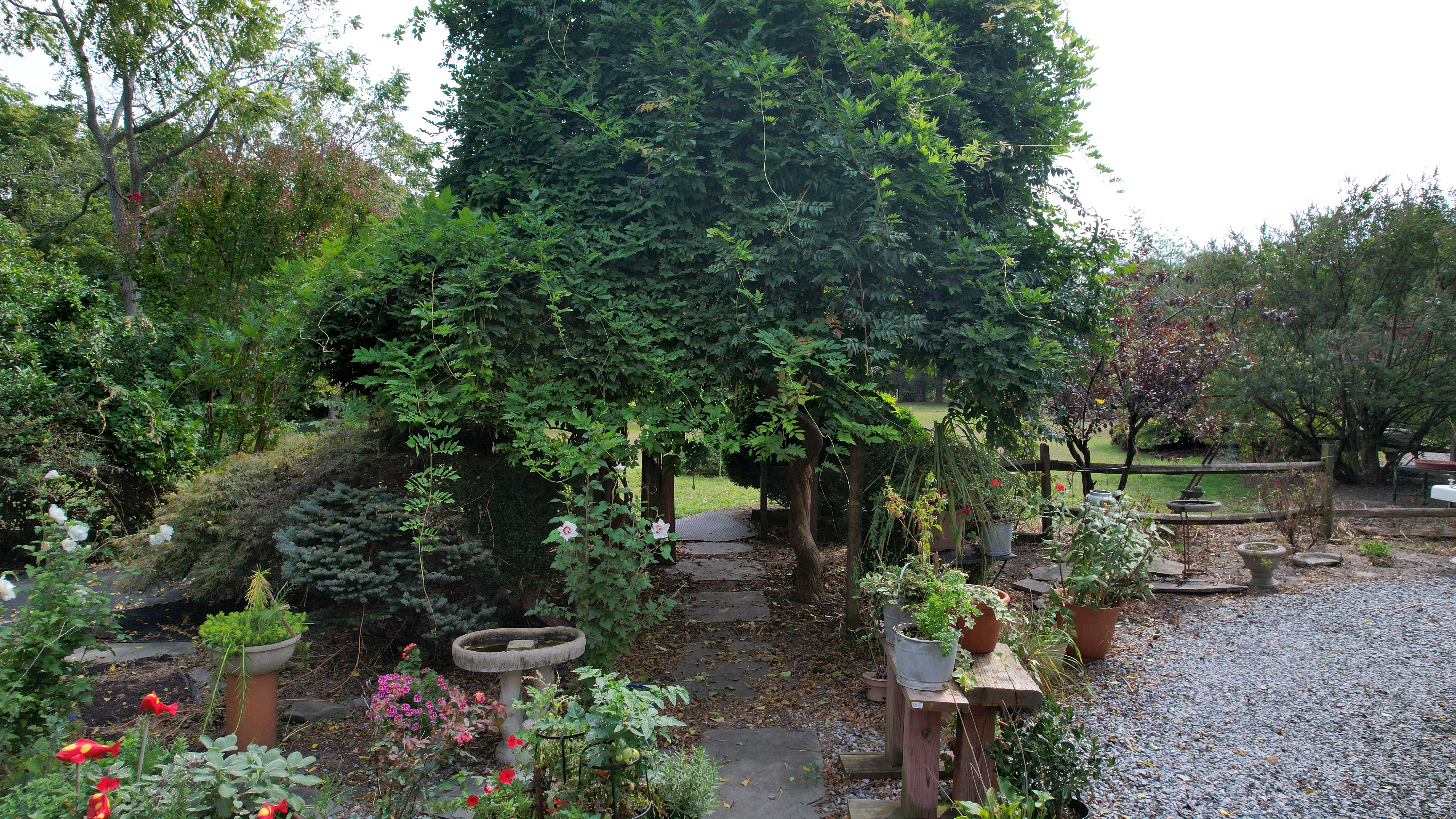 Absecon, New Jersey, 08201, United States, 7 Bedrooms Bedrooms, ,4 BathroomsBathrooms,Residential,For Sale,1974991